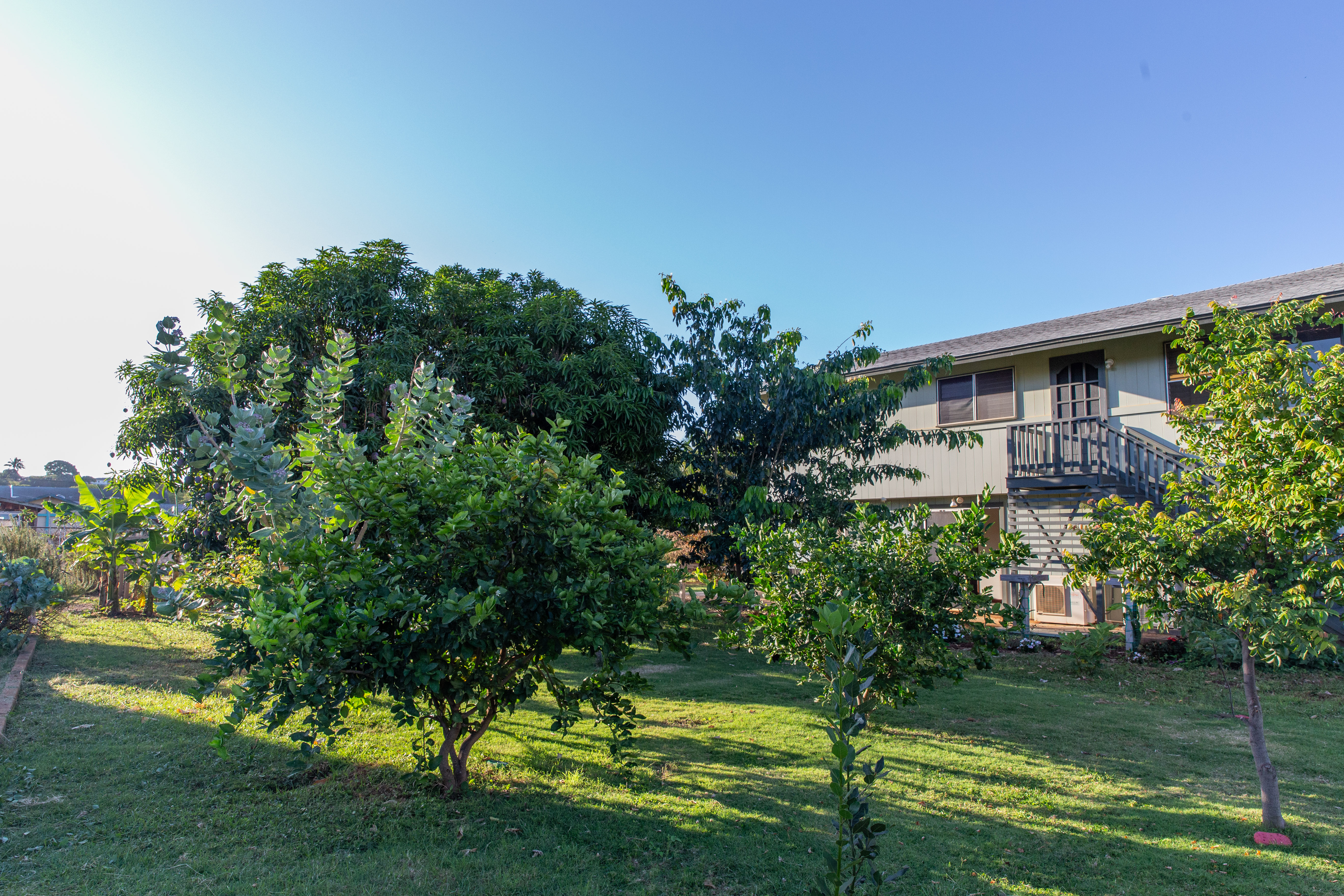 Hanapepe, Hawaii, 96716, United States, 4 Bedrooms Bedrooms, ,2 BathroomsBathrooms,Residential,For Sale,1794637
