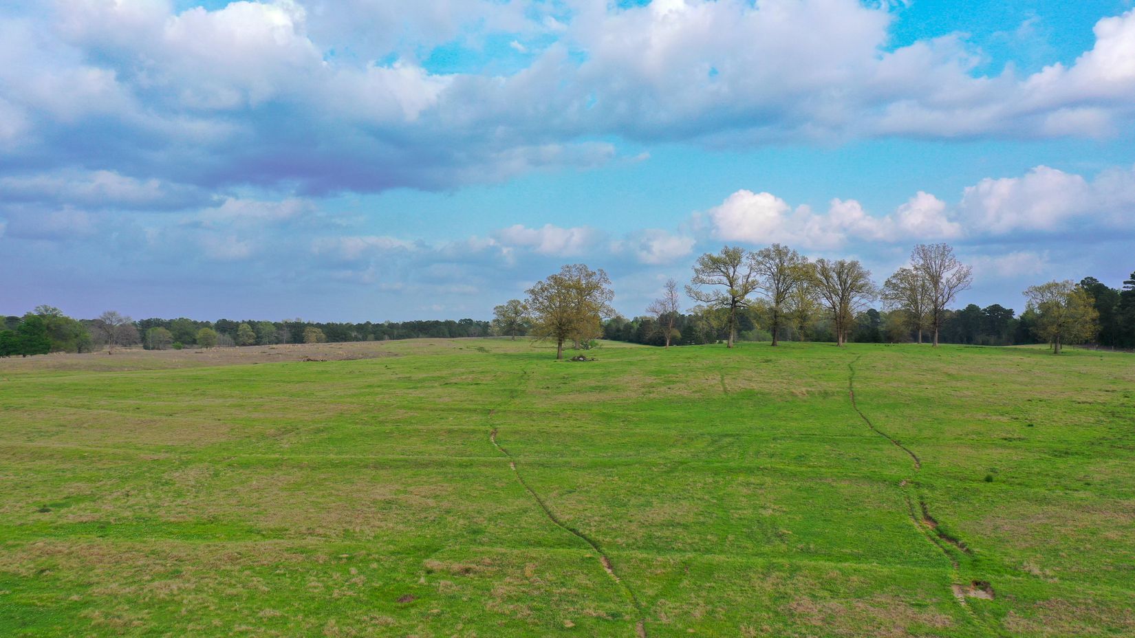 Bivins, Texas, 75555, United States, ,Residential,For Sale,1755933