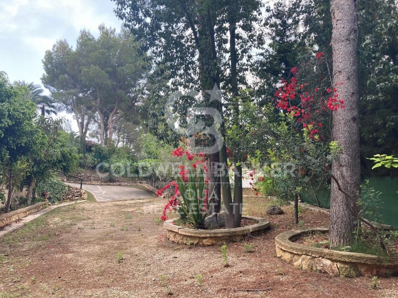 Alicante, Altea, Altea Pueblo Alicante, Altea, Alt, Altea, Comunidad Valenciana, ES, 4 Bedrooms Bedrooms, ,4 BathroomsBathrooms,Residential,For Sale,Alicante, Altea, Altea Pueblo Alicante, Altea, Alt,1675140