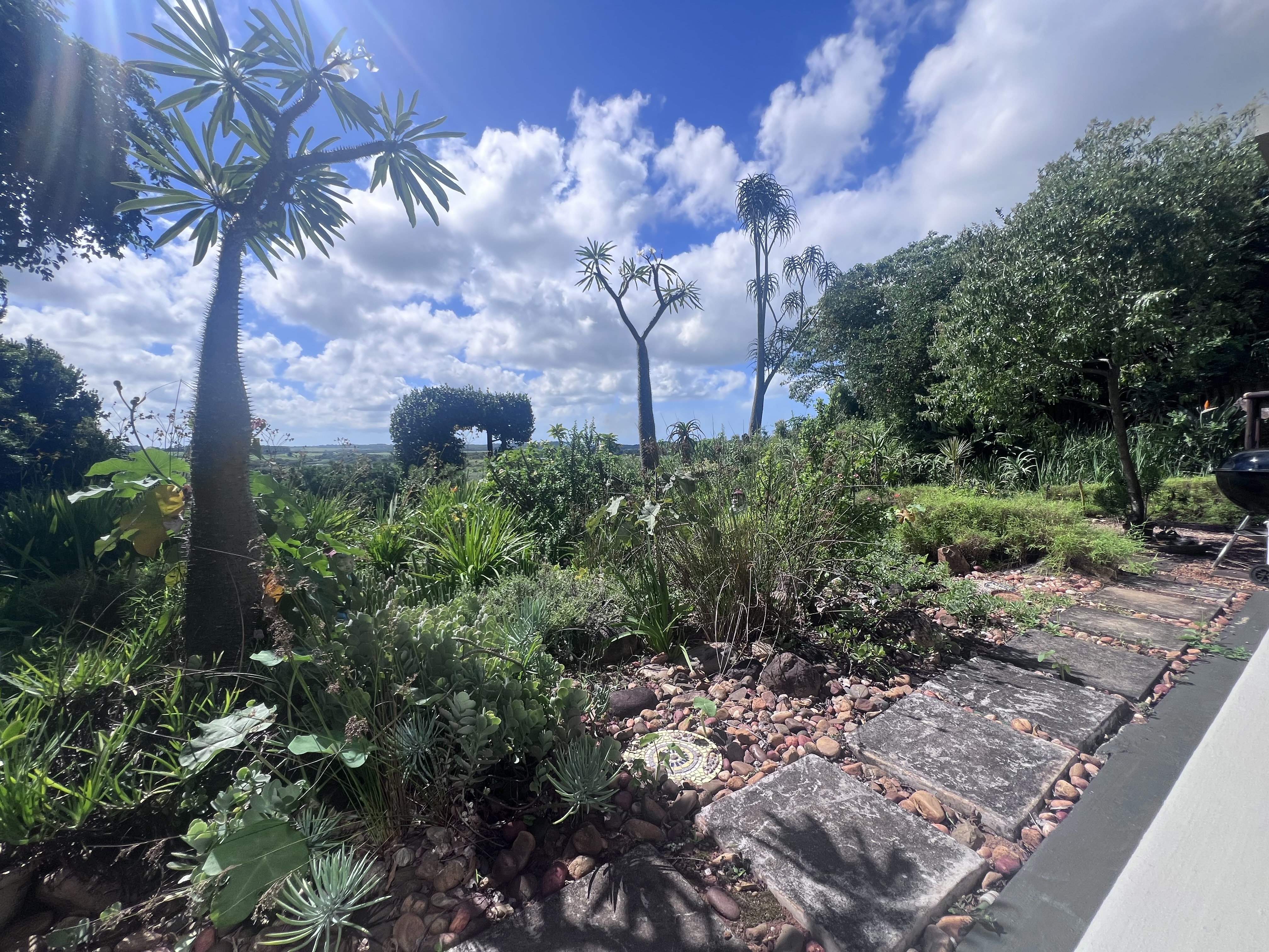  Meticulously maintained home with thoughtfully curated living spaces - 物件實景