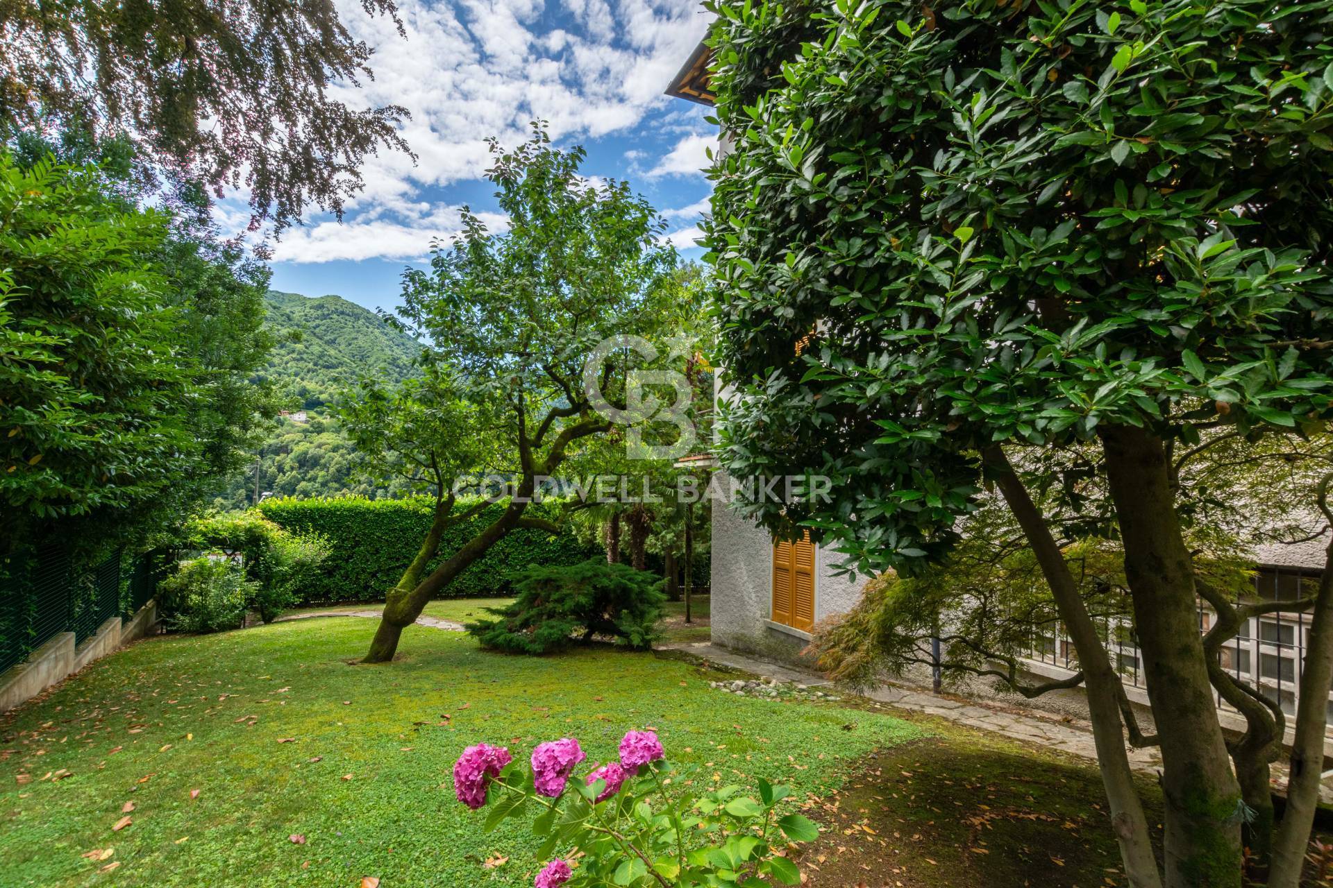 Dizzasco, Como, 22020, IT, 6 Bedrooms Bedrooms, ,3 BathroomsBathrooms,Residential,For Sale,1891110