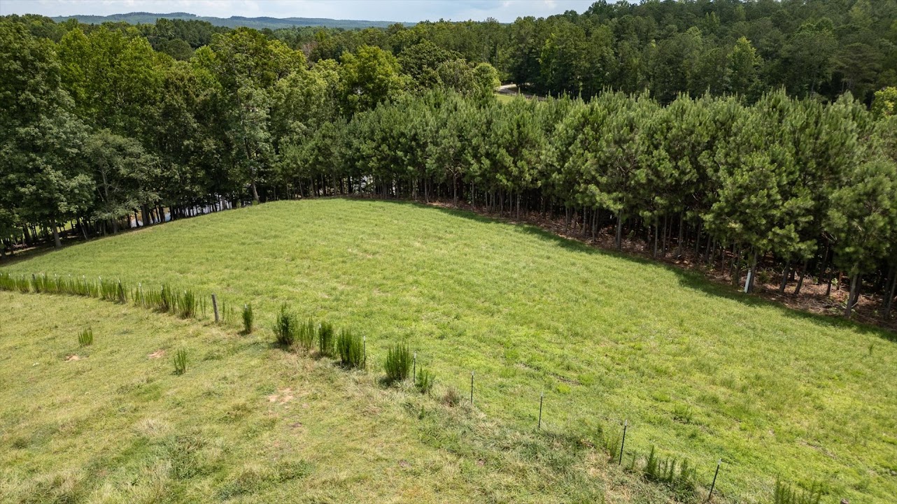 Heflin, Alabama, 36264, United States, ,Land,For Sale,1981342