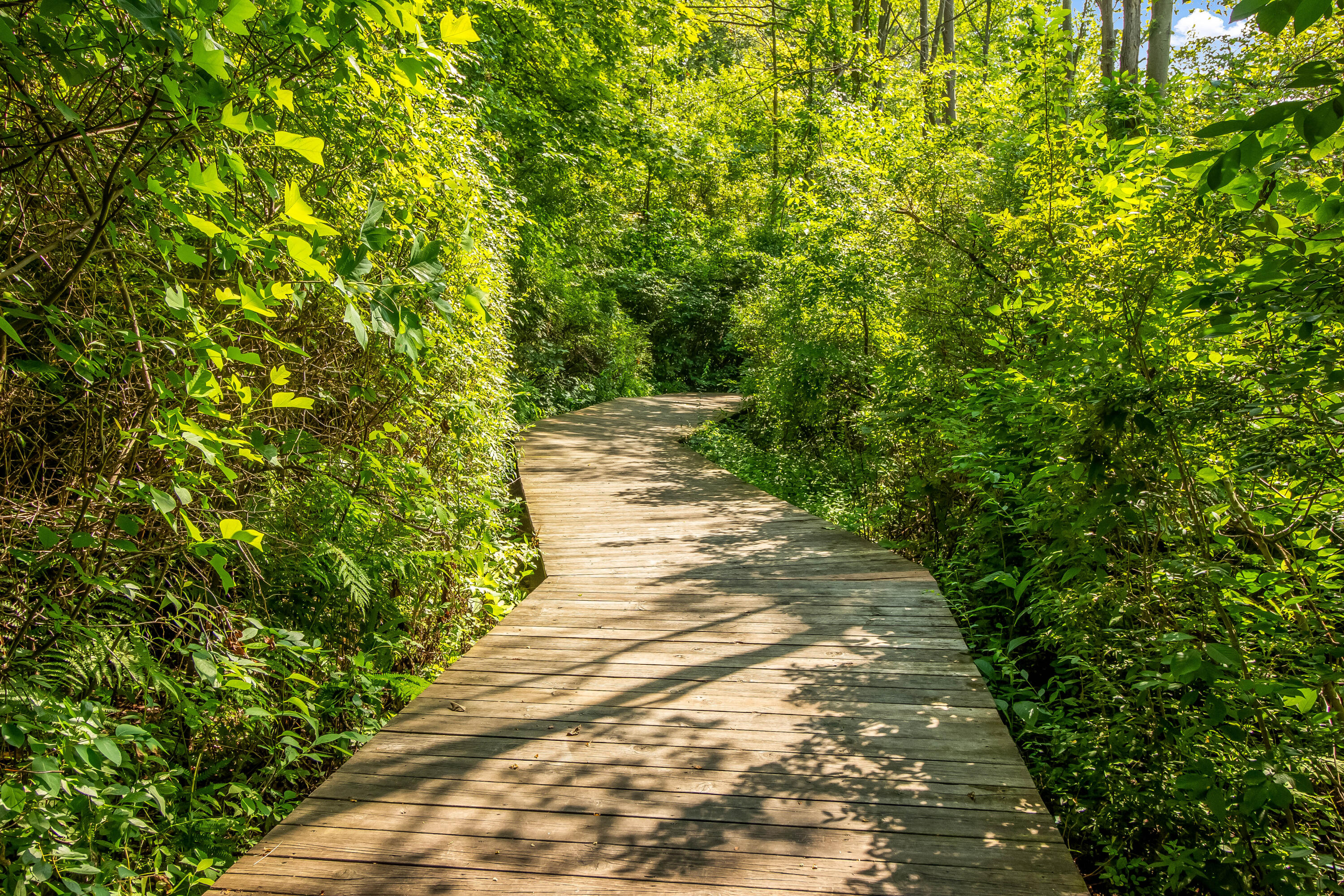 Saugatuck, Michigan, 49453, United States, 3 Bedrooms Bedrooms, ,3 BathroomsBathrooms,Residential,For Sale,1981176