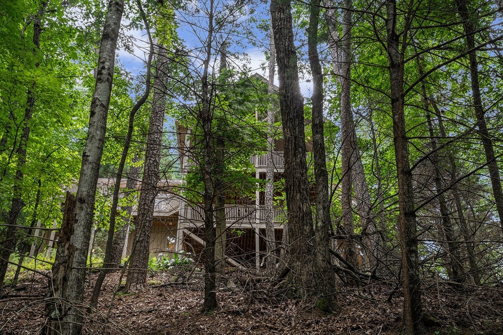 Ellijay, Georgia, 30536, United States, 4 Bedrooms Bedrooms, ,4 BathroomsBathrooms,Residential,For Sale,1888522