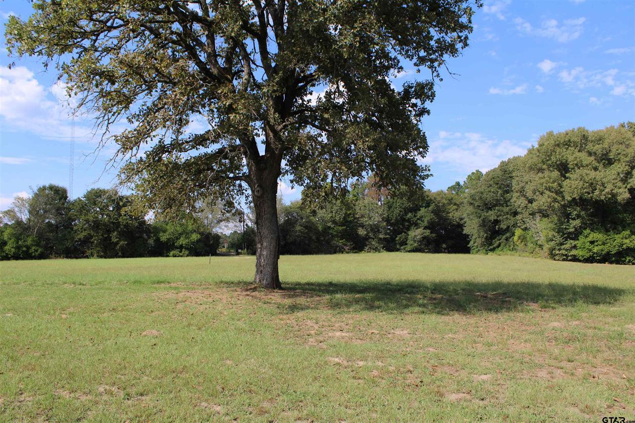 Jacksonville, Texas, 75766, United States, 2 Bedrooms Bedrooms, ,1 BathroomBathrooms,Residential,For Sale,1984164