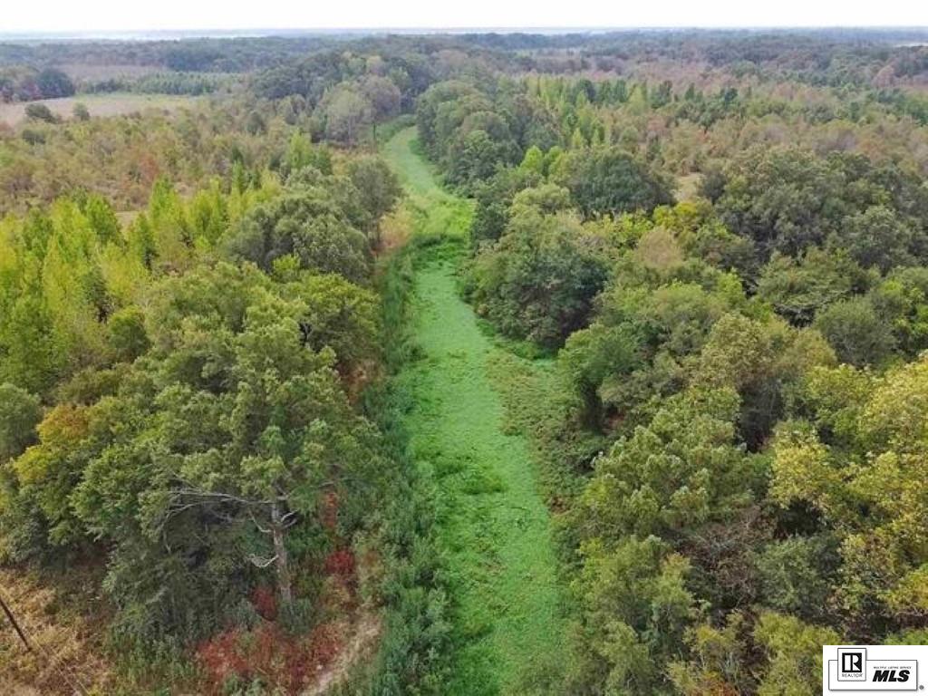 593 FORTENBERRY ROAD, Rayville, Louisiana, 71269, United States, ,Land,For Sale,593 FORTENBERRY ROAD,1683237