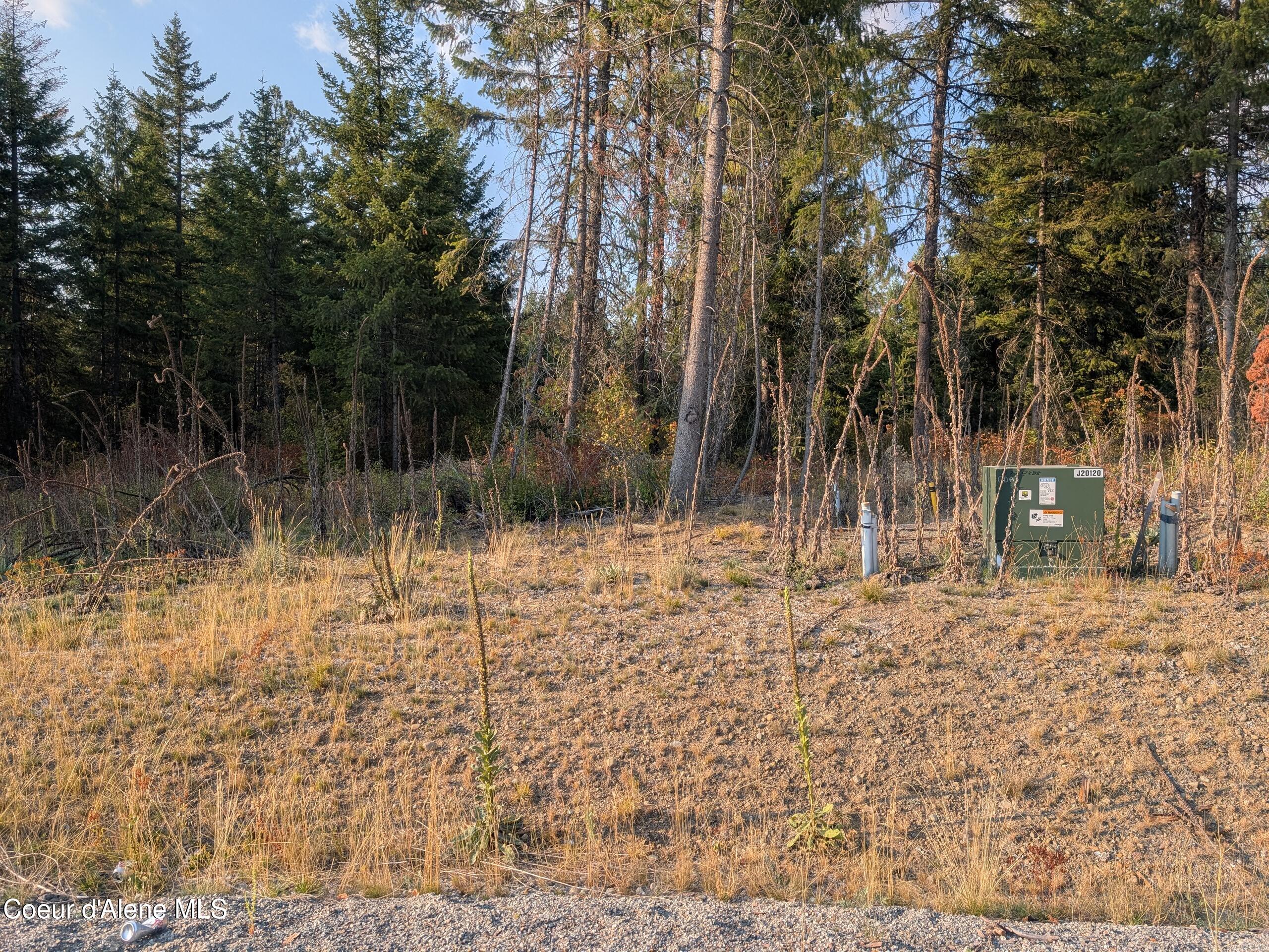 Spirit Lake, Idaho, 83869, United States, ,Land,For Sale,1981864