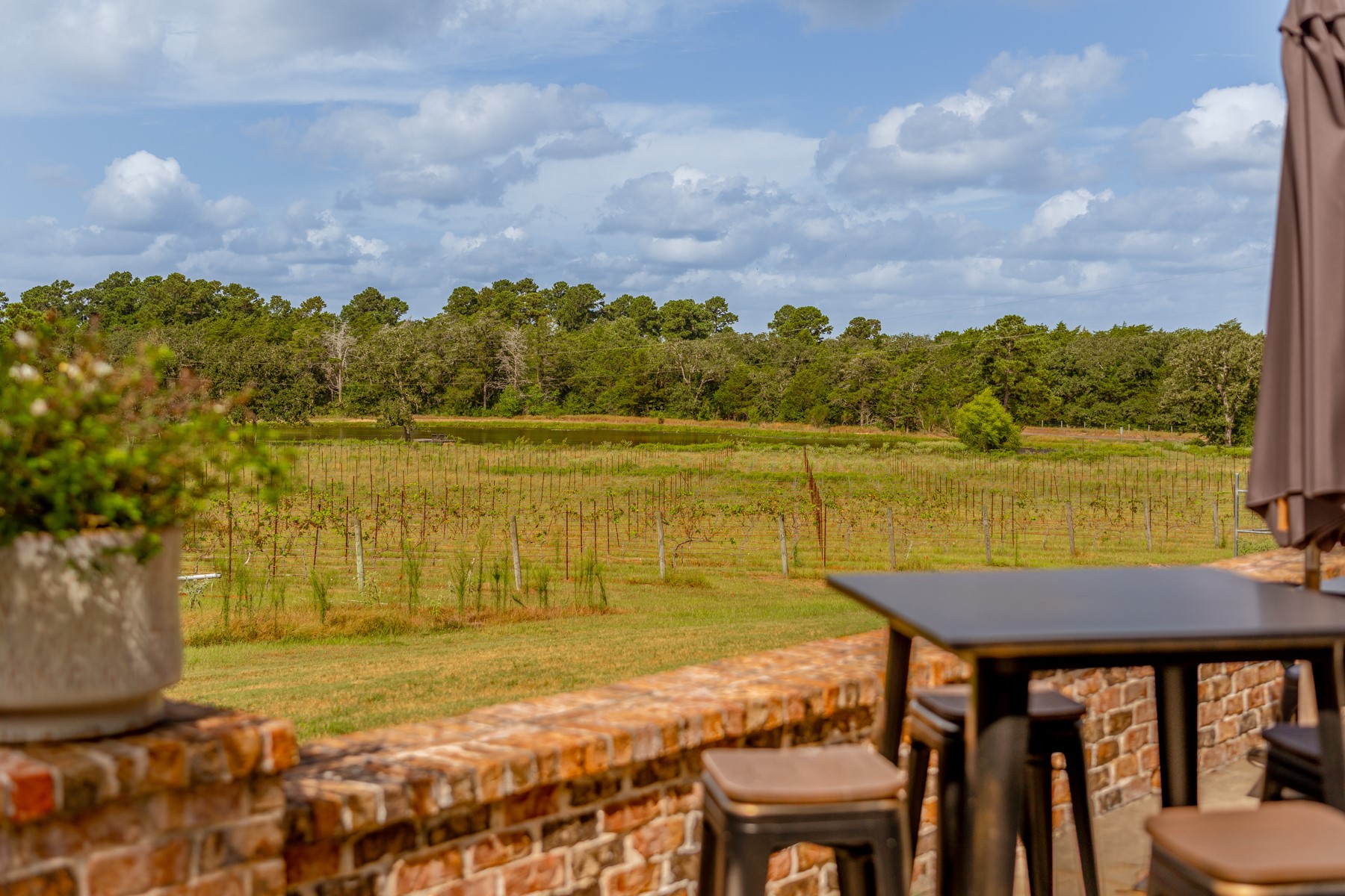  25200A Bernard Road, New Ulm, TX, 78950 - 物件實景