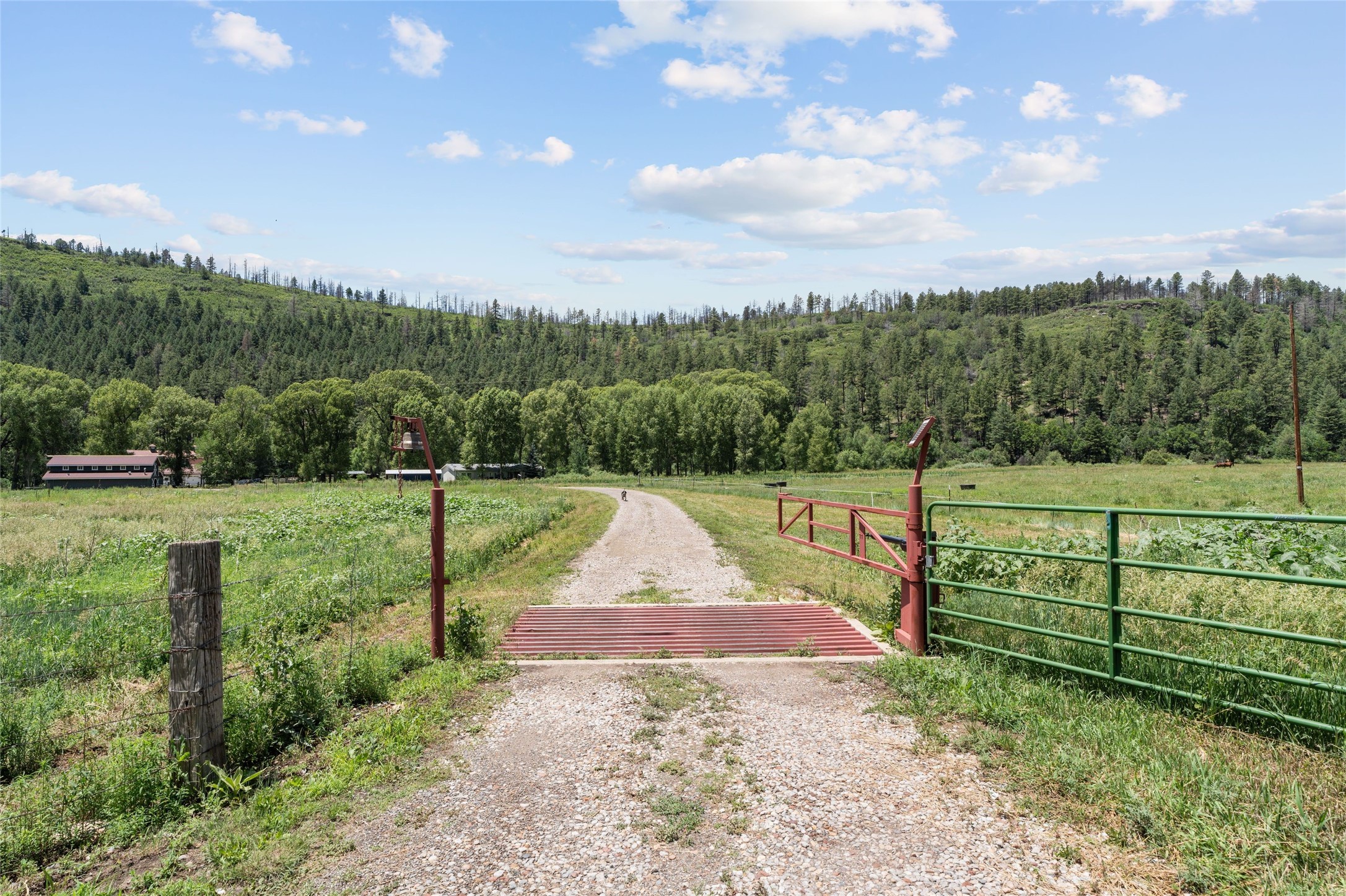  997 New Mexico Highway 65 - Rio de Vega Ranch - 物件實景