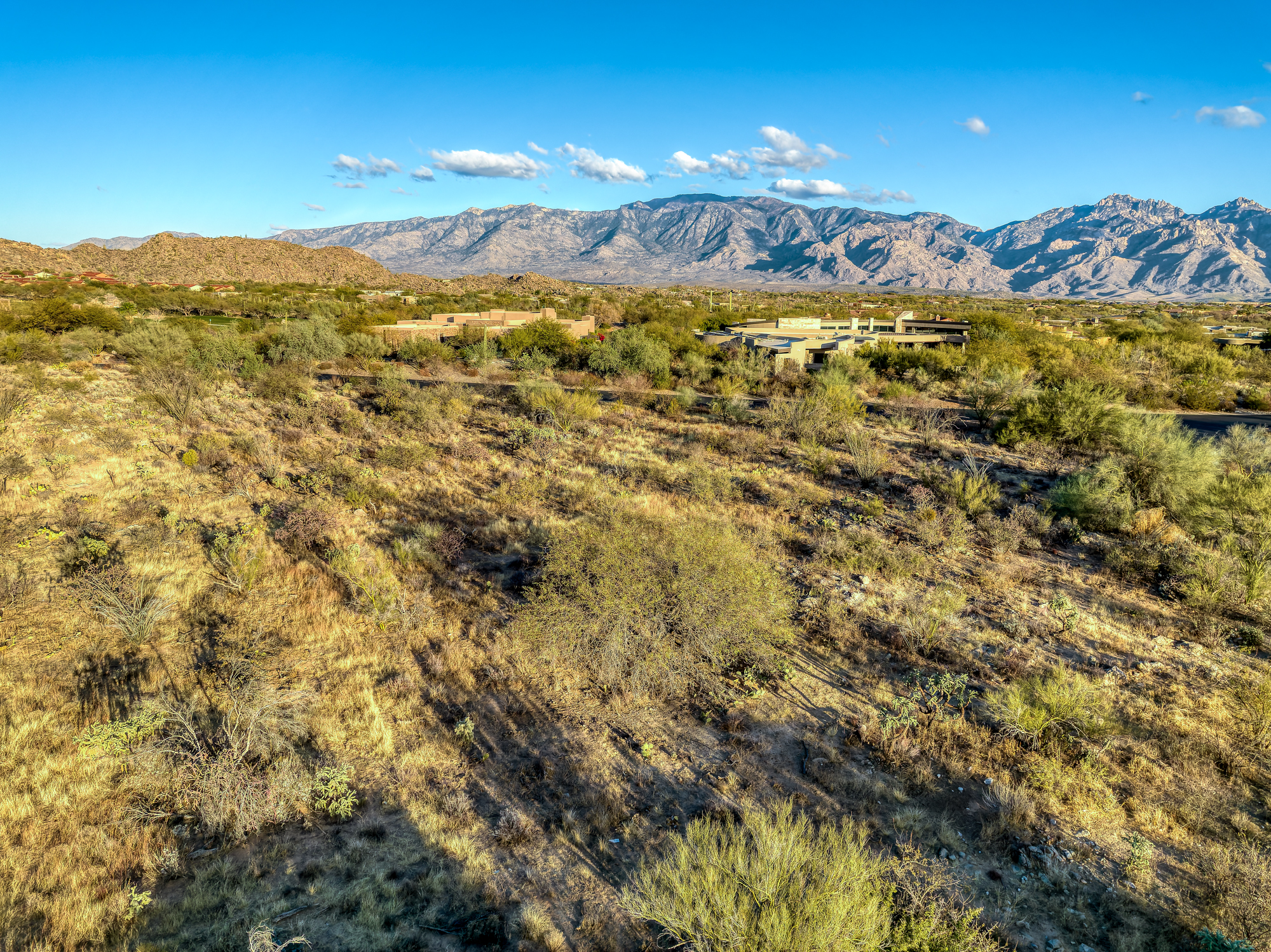  14191 N Giant Saguaro Place¦Oro Valley, AZ - 物件實景
