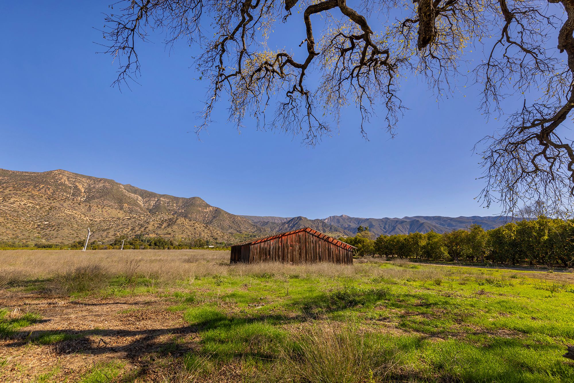 1201 Grand Avenue, Ojai, CA 93023 - 物件實景