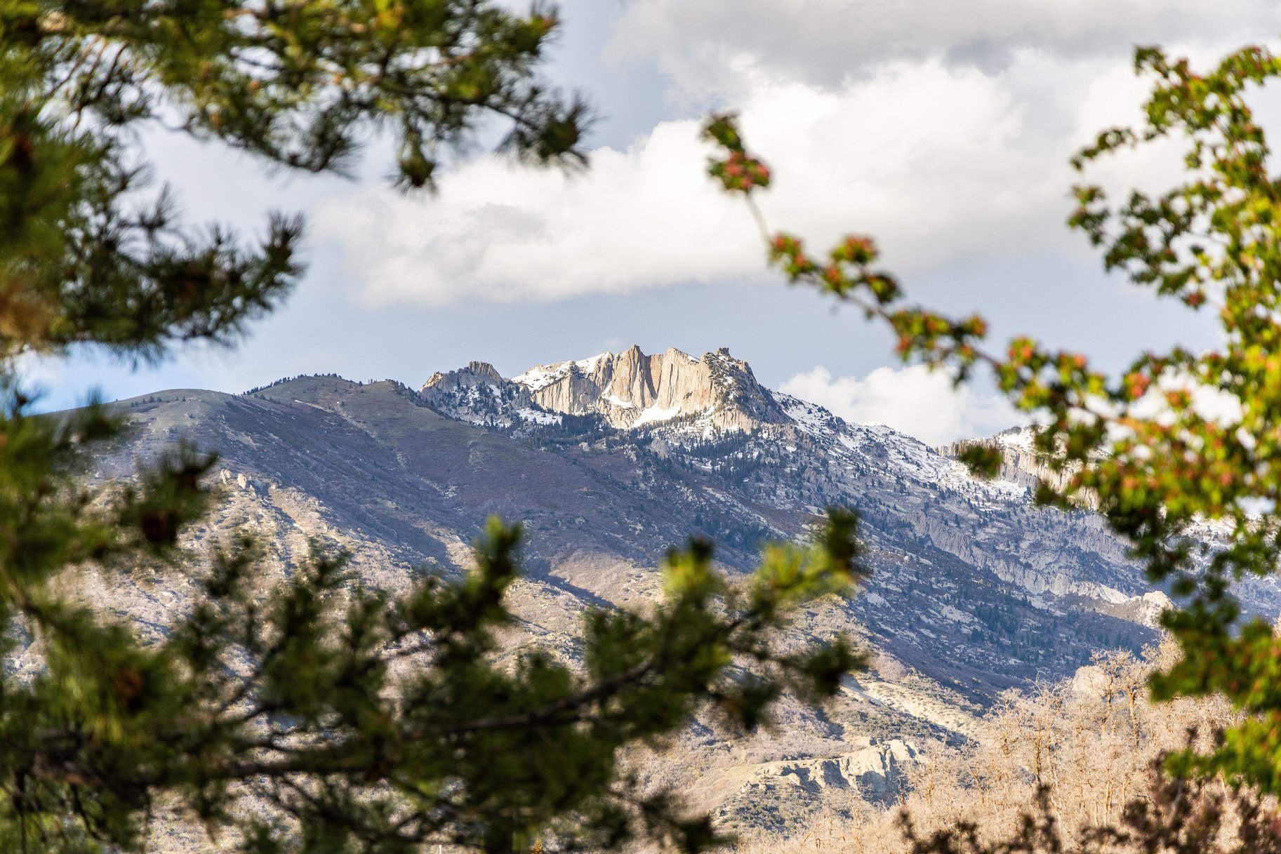  Peaceful Mountain Living with Amenities That Impress - 物件實景
