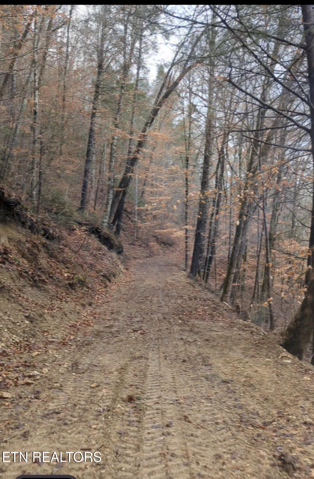 Townsend, Tennessee, 37882, United States, ,Land,For Sale,1978973