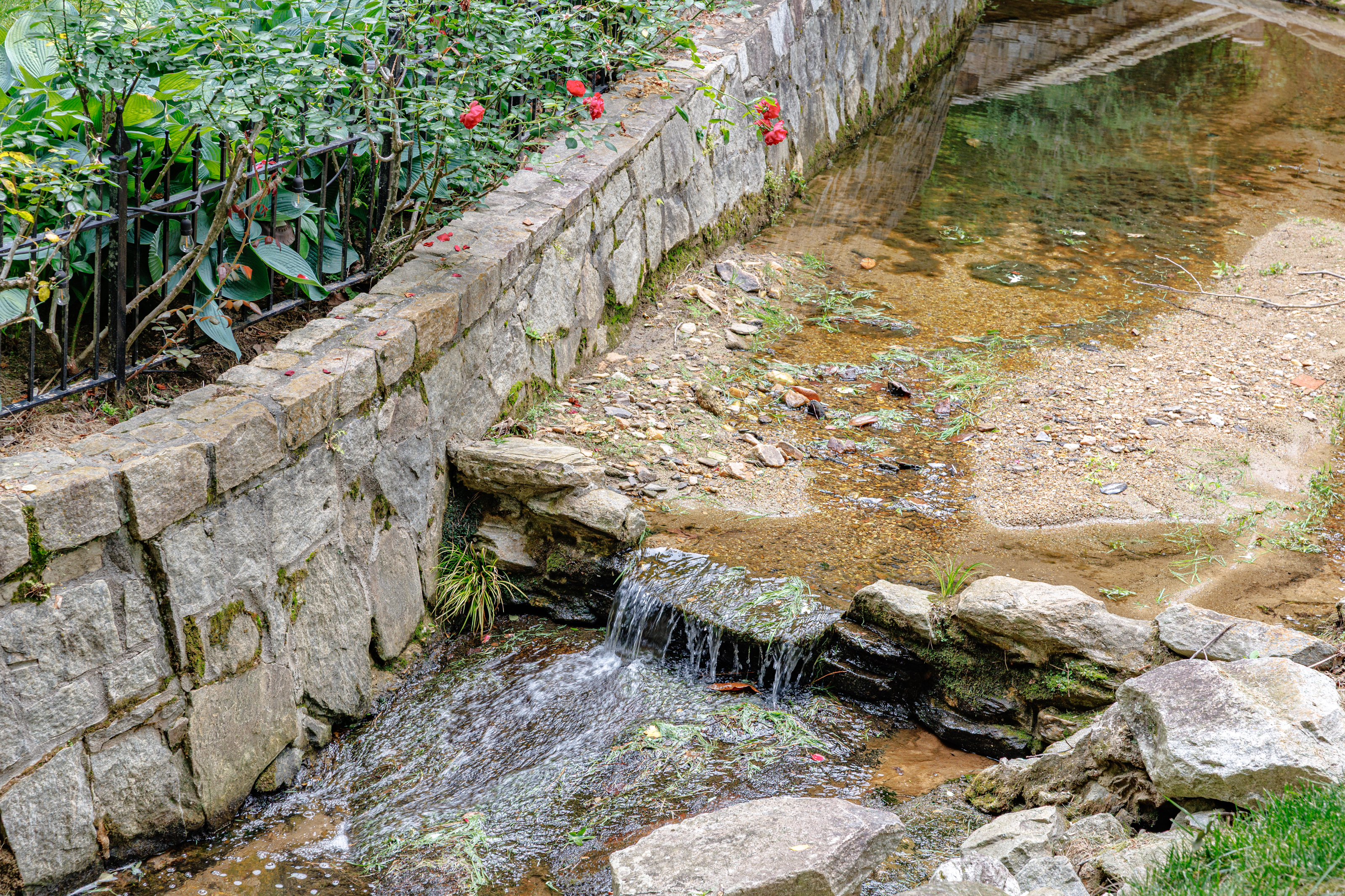  Two-Acre Sanctuary in The City - 物件實景