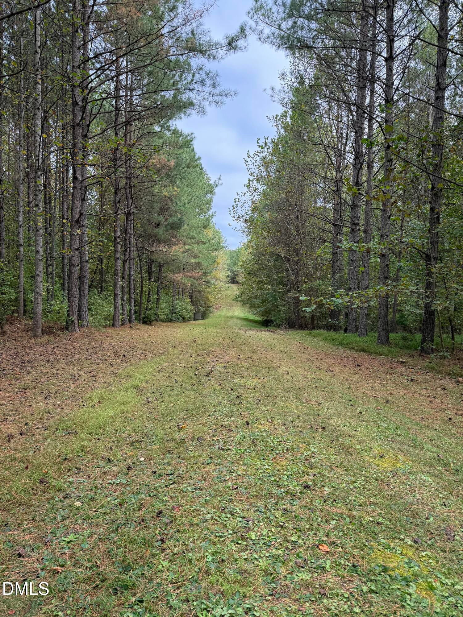 Oxford, North Carolina, 27565, United States, ,Land,For Sale,2000467