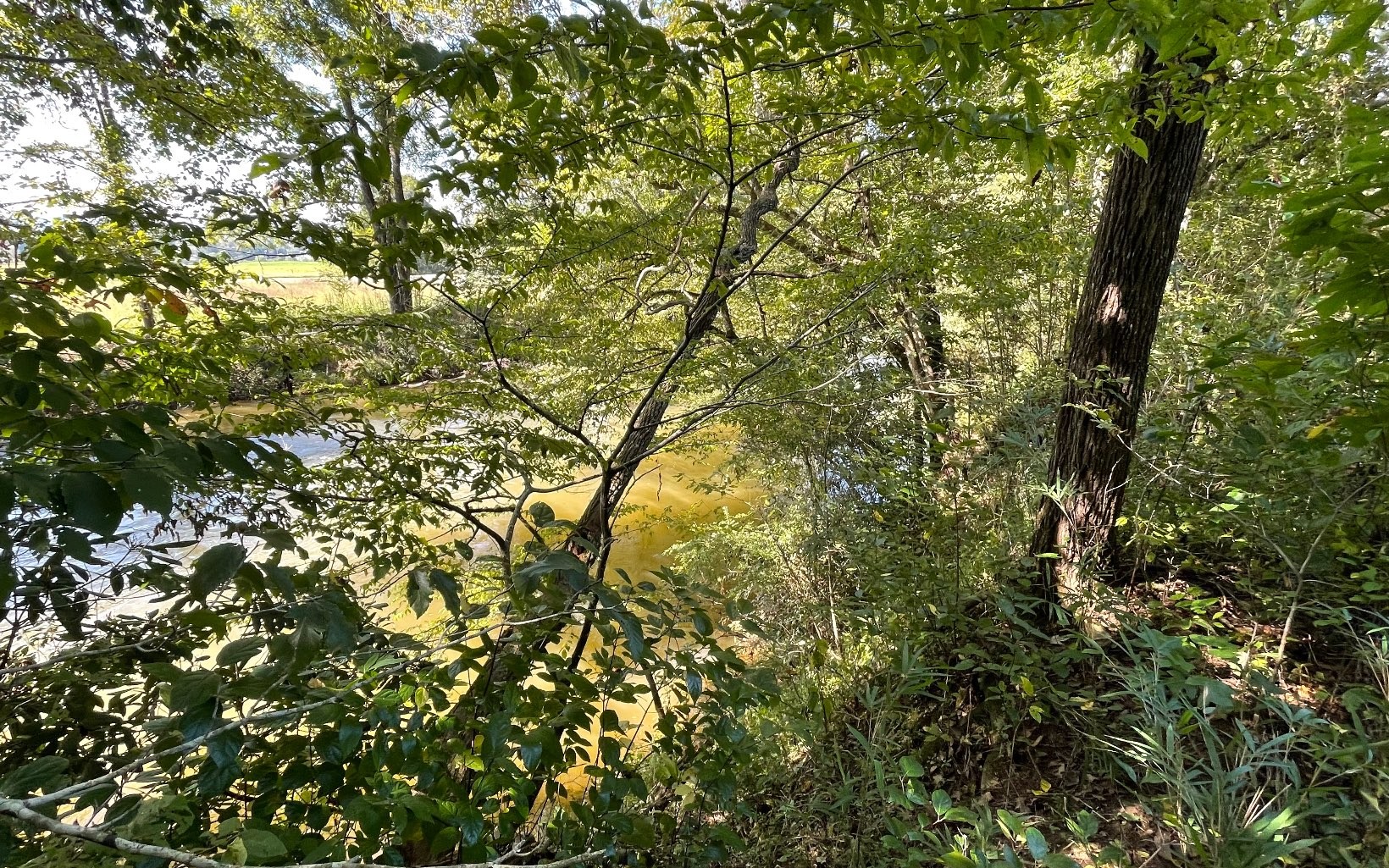 Hayesville, North Carolina, 28904, United States, ,Residential,For Sale,1943293