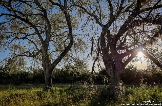 Beeville, Texas, 78102, United States, ,Land,For Sale,1987923