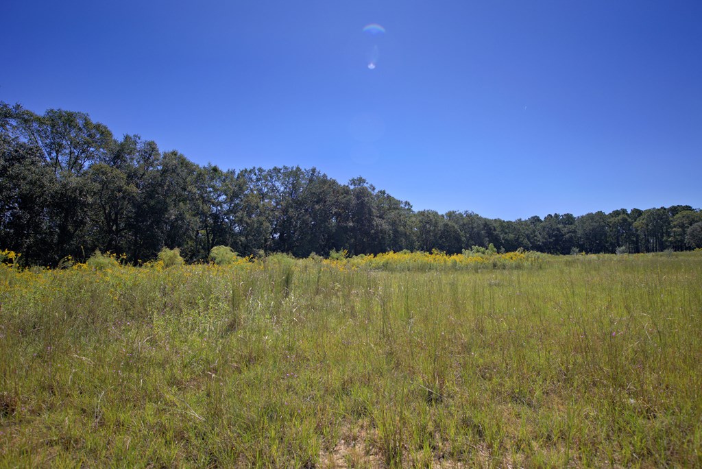 Pavo, Georgia, 31778, United States, ,Residential,For Sale,1988640