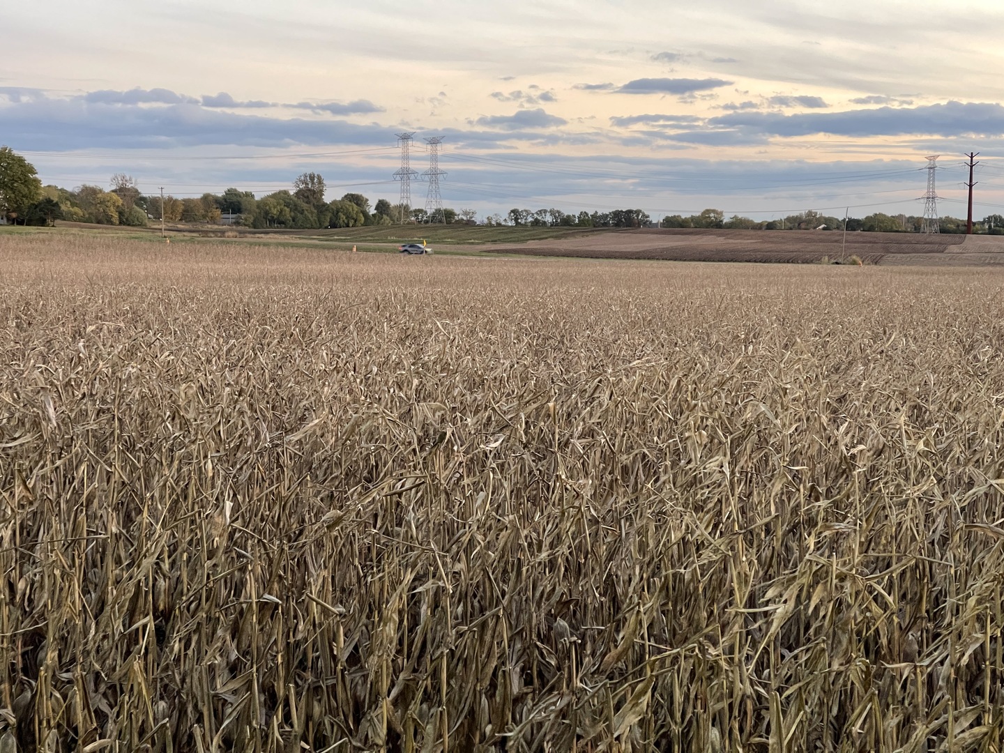 Mokena, Illinois, 60448, United States, ,Residential,For Sale,1869367