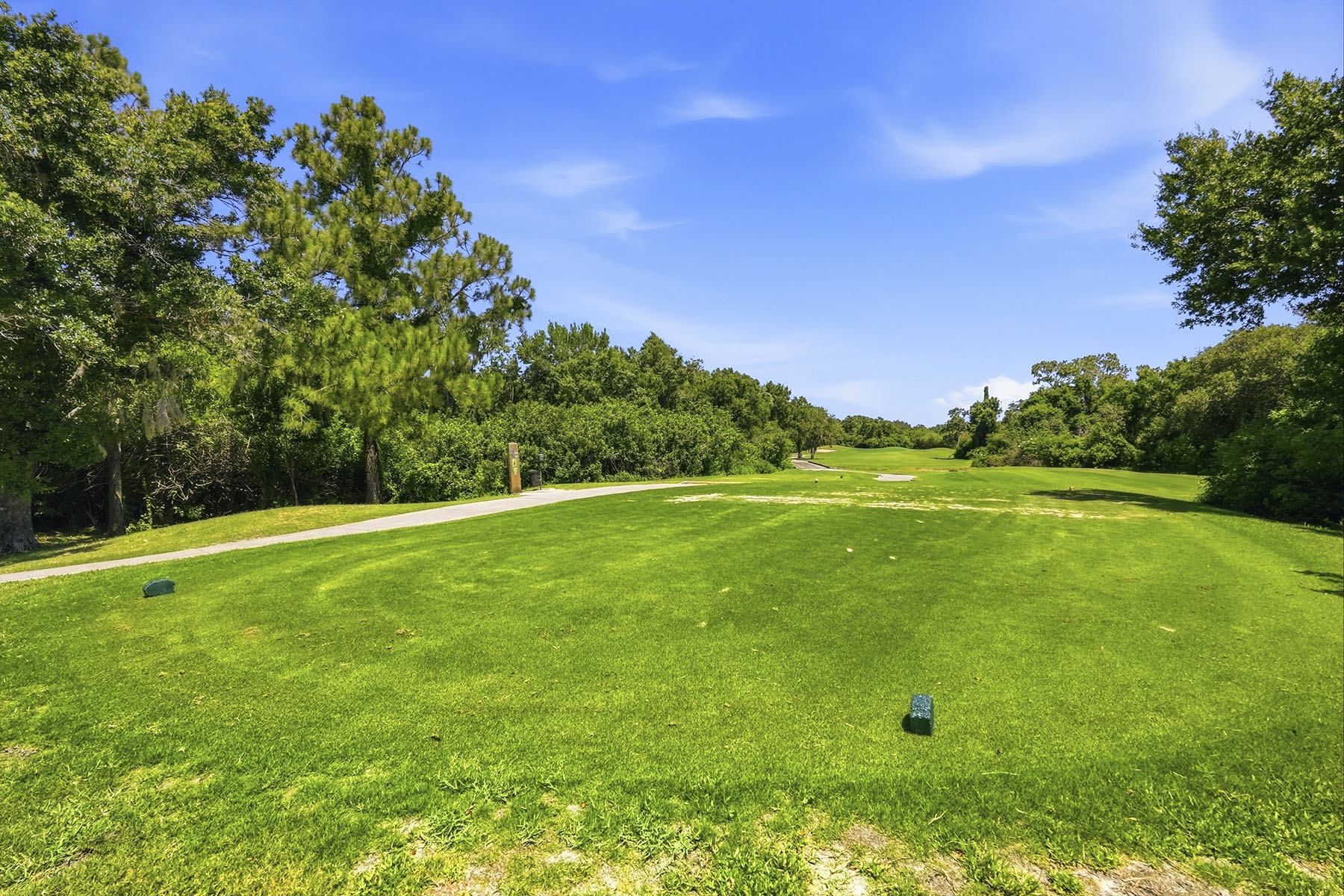  CLUBHOUSE ESTATES AT SUMMERFIELD - 物件實景