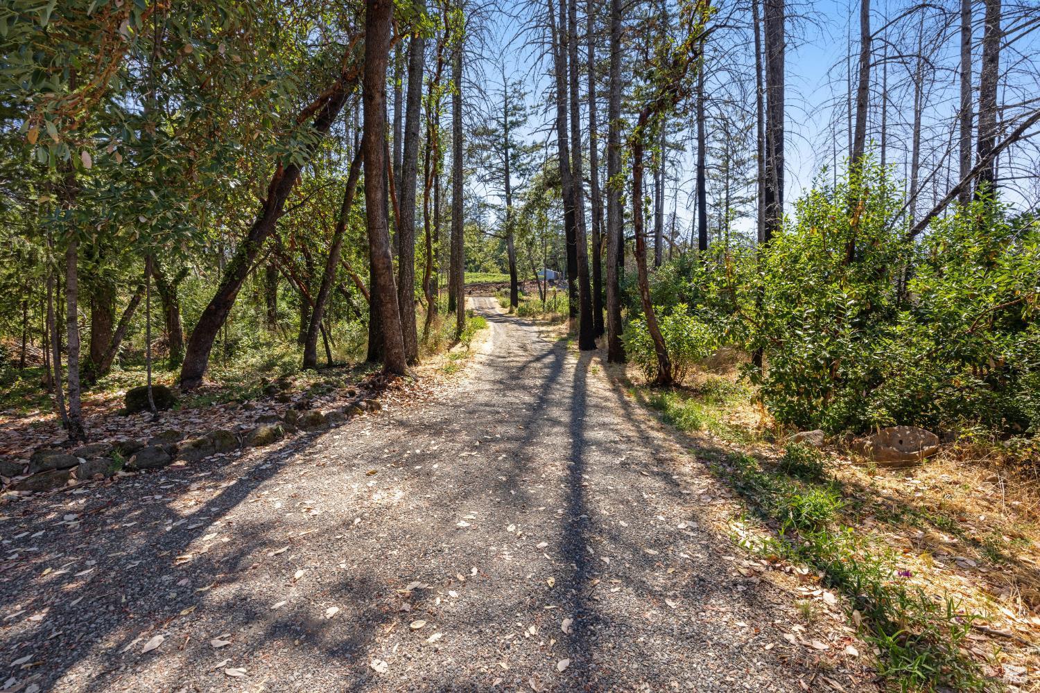 St. Helena, California, 94574, United States, 2 Bedrooms Bedrooms, ,2 BathroomsBathrooms,Residential,For Sale,1975213