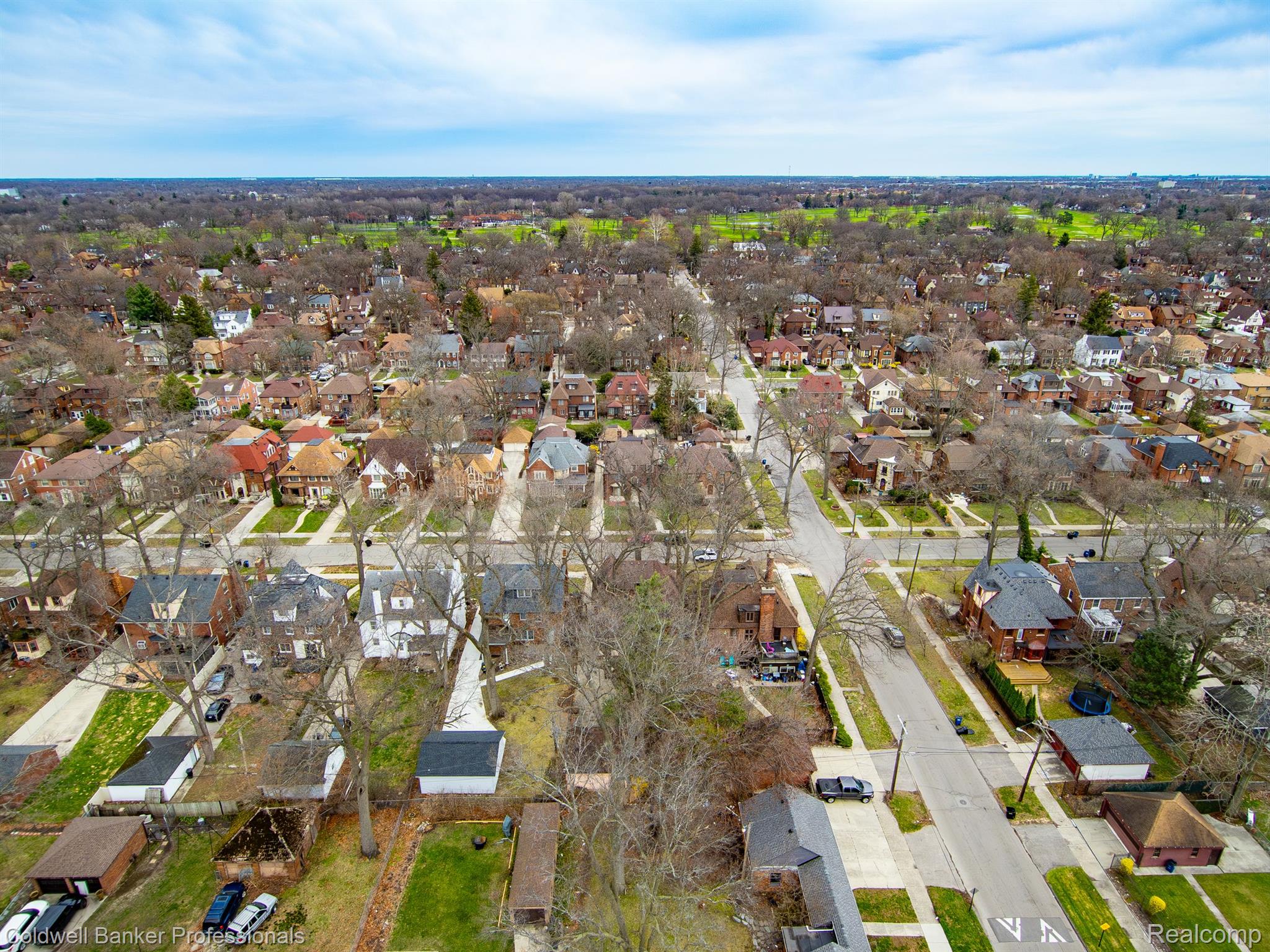 Detroit, Michigan, 48221, United States, 4 Bedrooms Bedrooms, ,5 BathroomsBathrooms,Residential,For Sale,1947184
