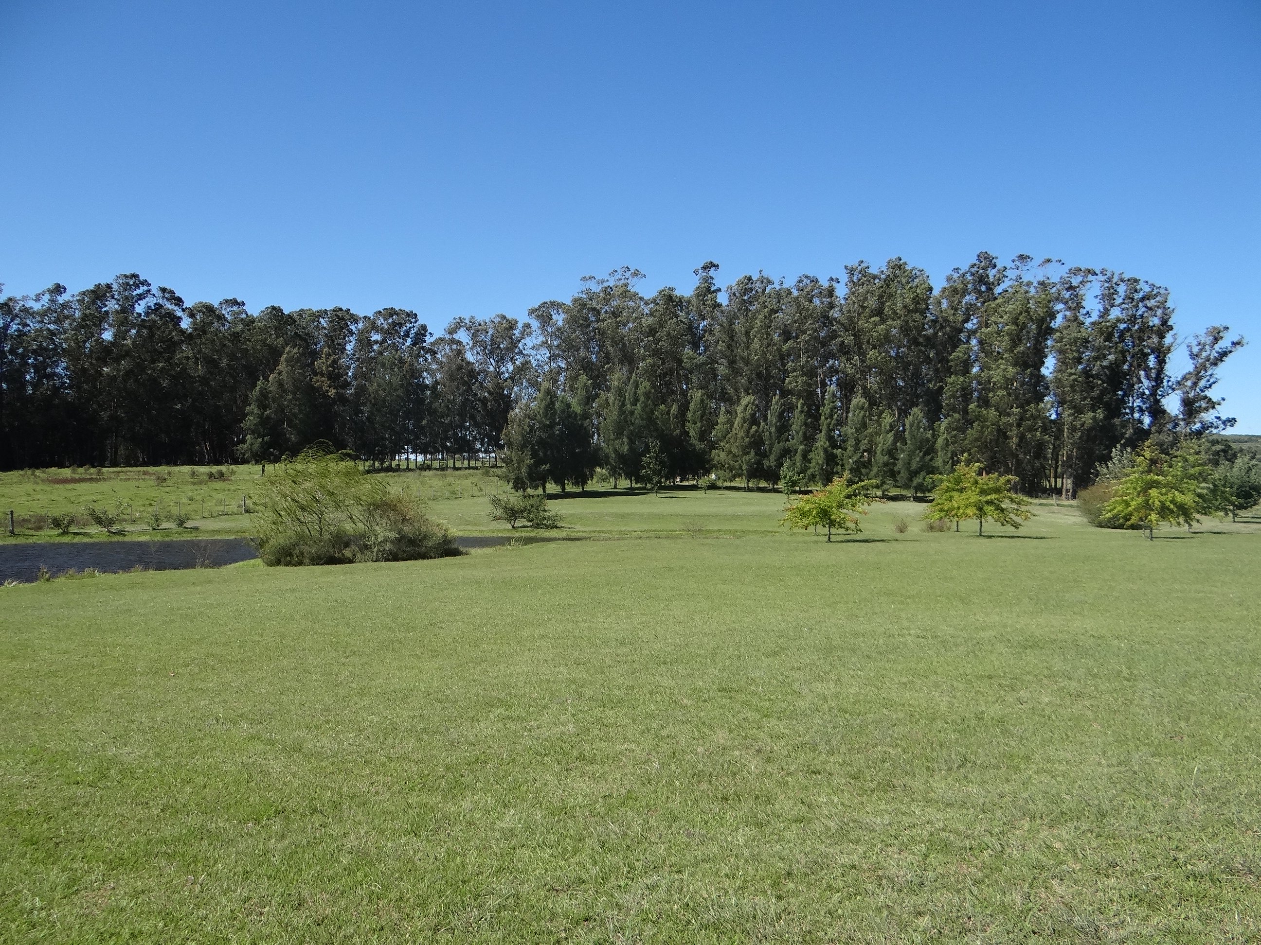 Farm in Pueblo Edén - 物件實景