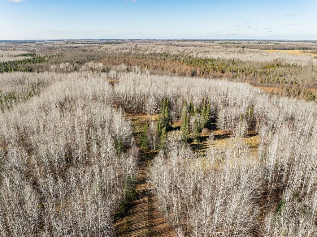 Grand Rapids, Minnesota, 55744, United States, ,Land,For Sale,1983791