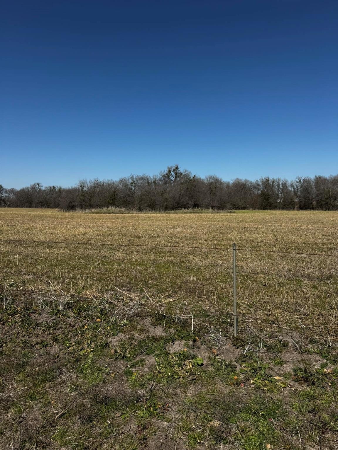 Thorndale, Texas, 76577, United States, ,Land,For Sale,1980741