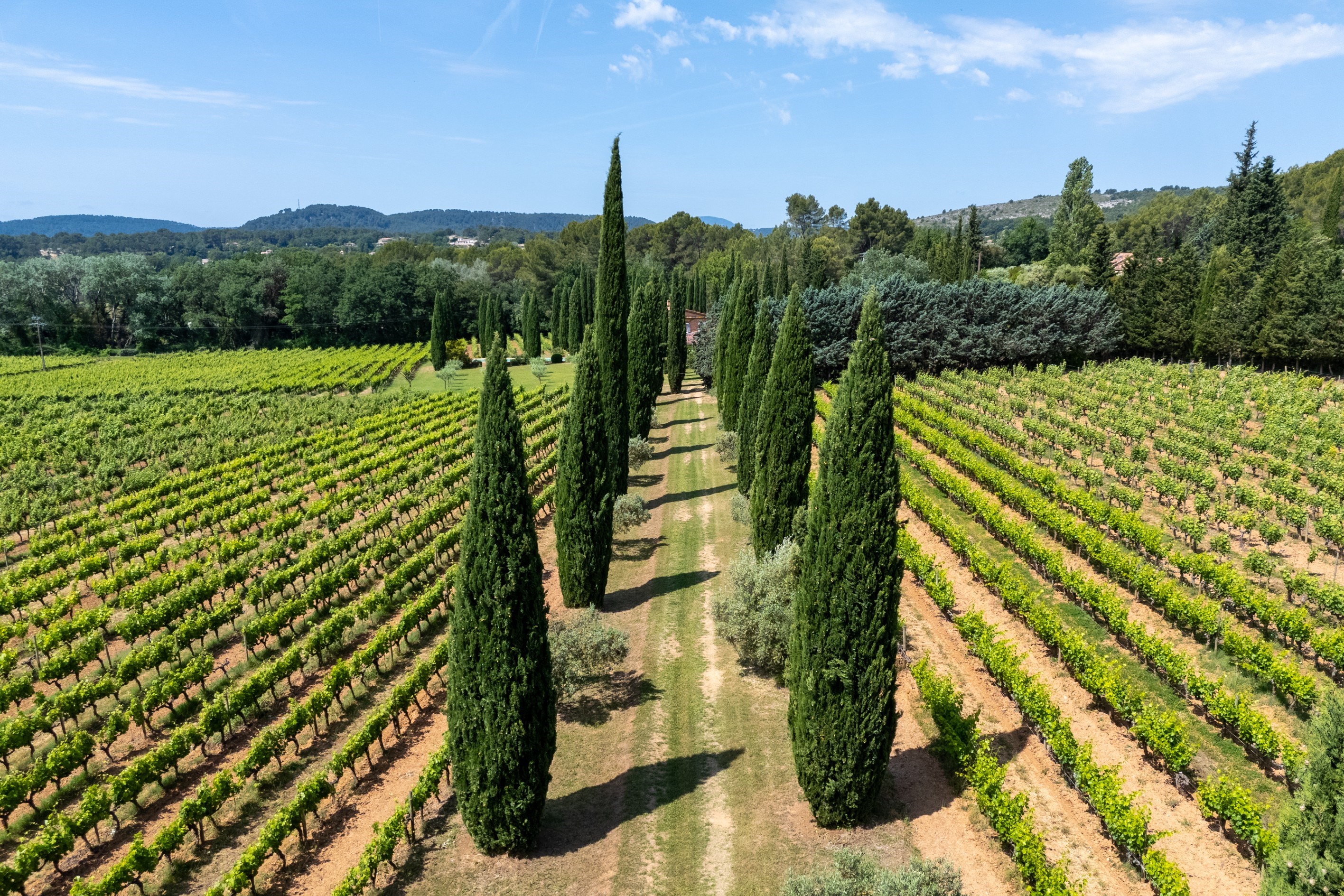  Charming Wine Estate in the Heart of Provence - 物件實景