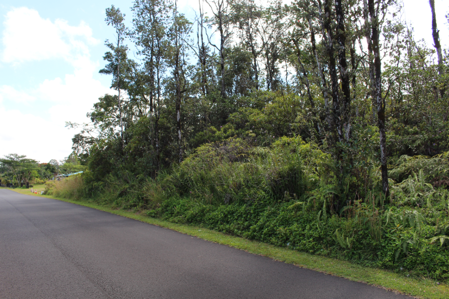 Keaau, Hawaii, 96749, United States, ,Land,For Sale,1977941