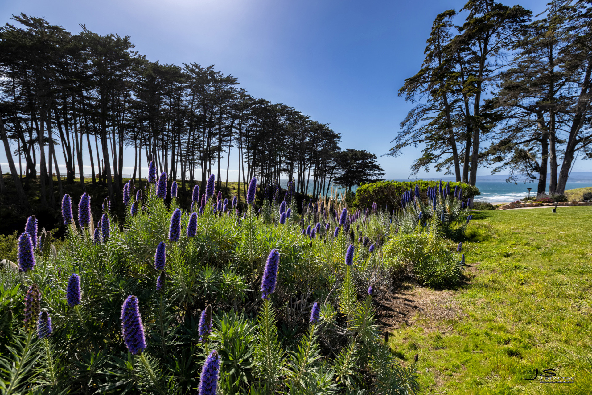  302 Seascape Resort Drive - 物件實景