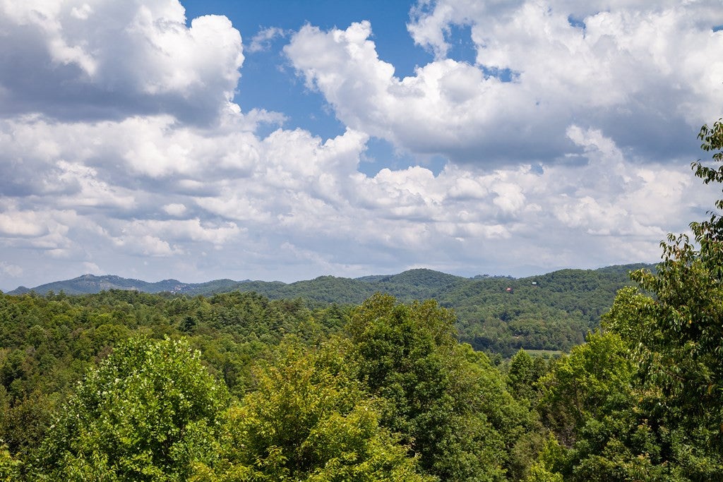 Sevierville, Tennessee, 37862, United States, 3 Bedrooms Bedrooms, ,7 BathroomsBathrooms,Residential,For Sale,1914651
