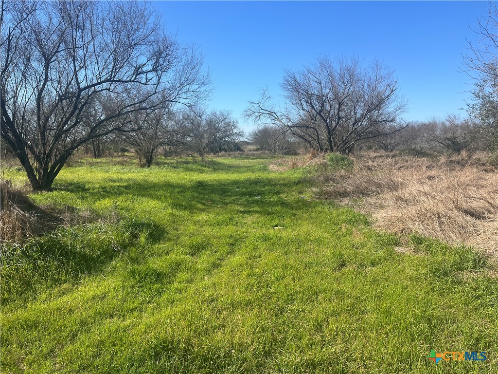 Victoria, Texas, 77905, United States, ,Land,For Sale,1739356