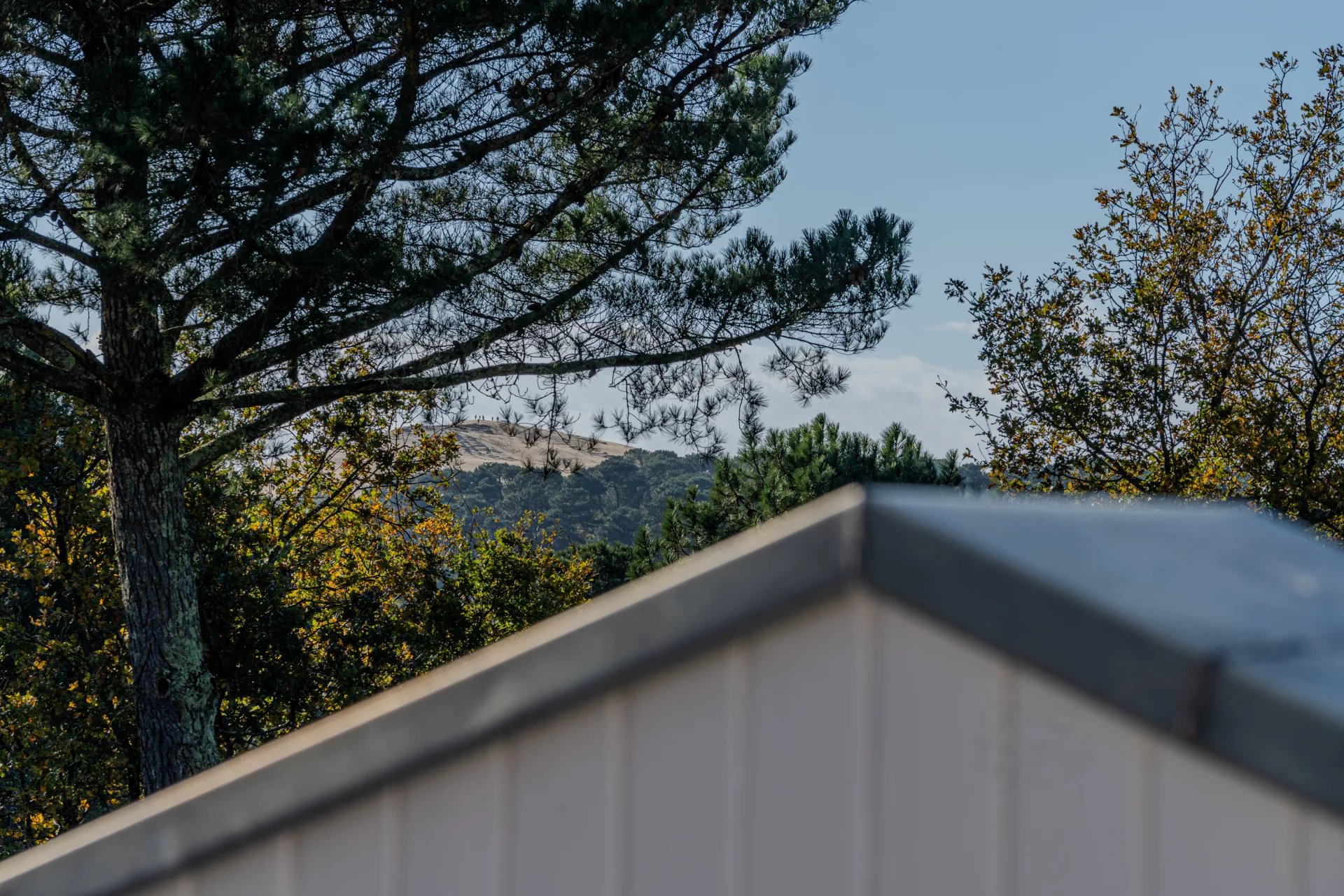 Pyla-sur-Mer, New Aquitaine, 33115, FR, 5 Bedrooms Bedrooms, ,5 BathroomsBathrooms,Residential,For Sale,1669094