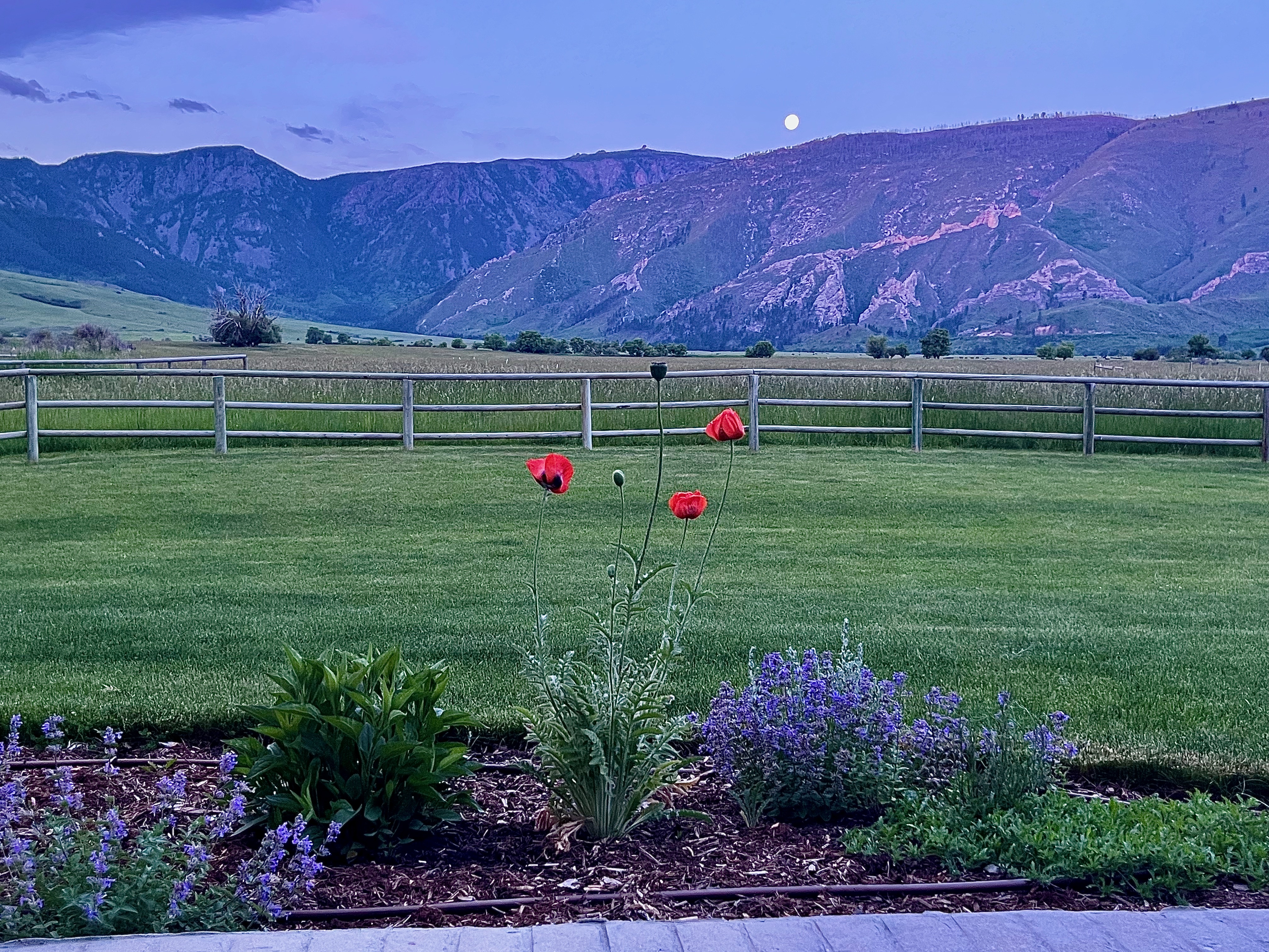 Big Horn, Wyoming, 82833, United States, ,Residential,For Sale,1887054
