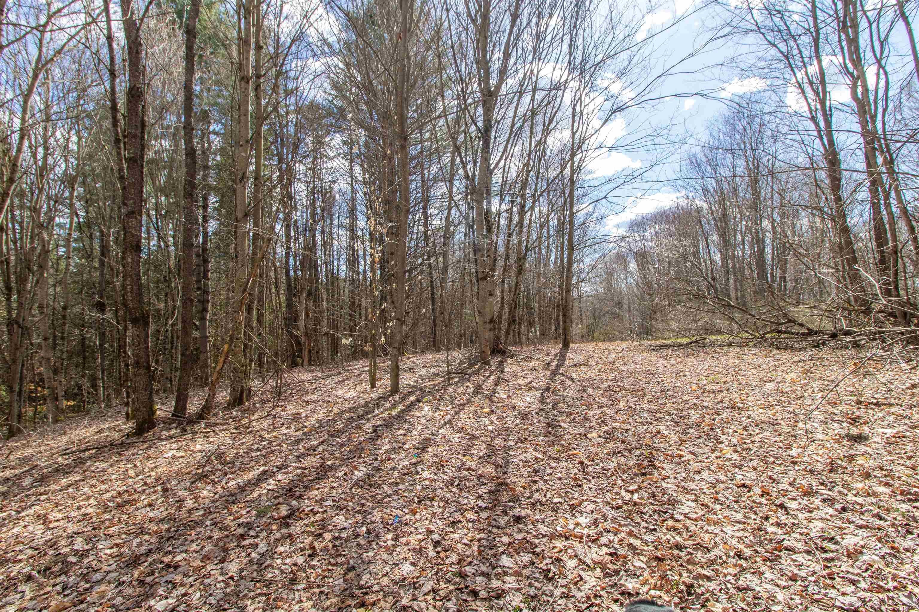 Burke, Vermont, 05832, United States, ,Land,For Sale,2041867