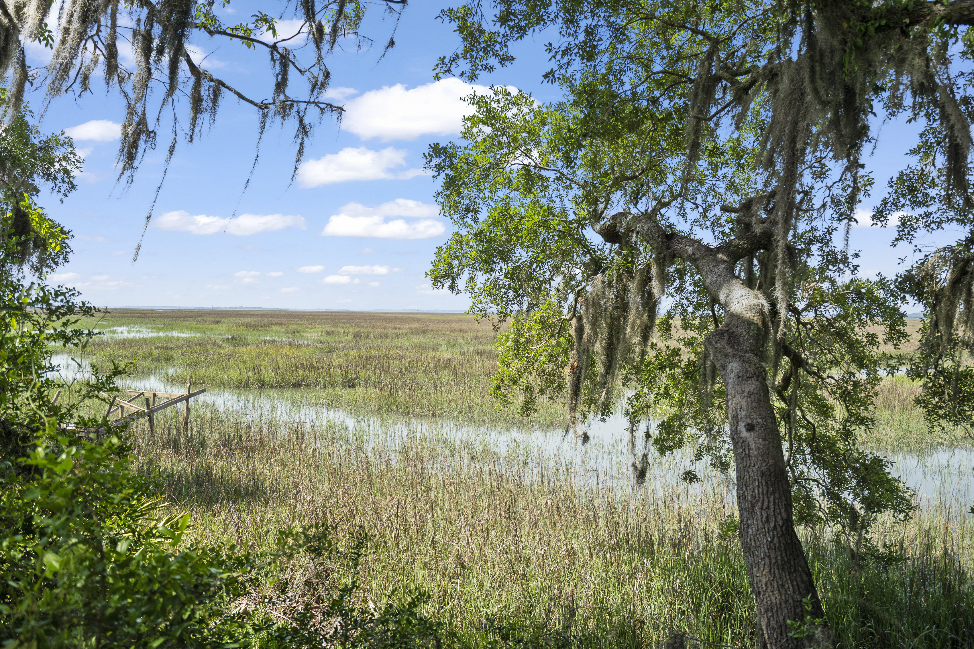 Beaufort, South Carolina, 29906, United States, 3 Bedrooms Bedrooms, ,2 BathroomsBathrooms,Residential,For Sale,1976144