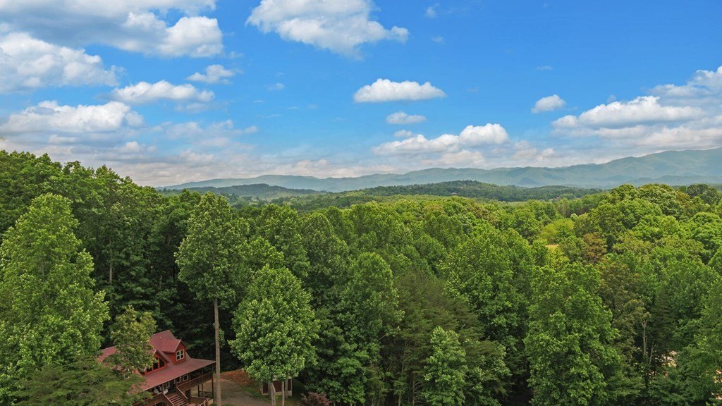 Young Harris, Georgia, 30582, United States, 3 Bedrooms Bedrooms, ,3 BathroomsBathrooms,Residential,For Sale,1974109