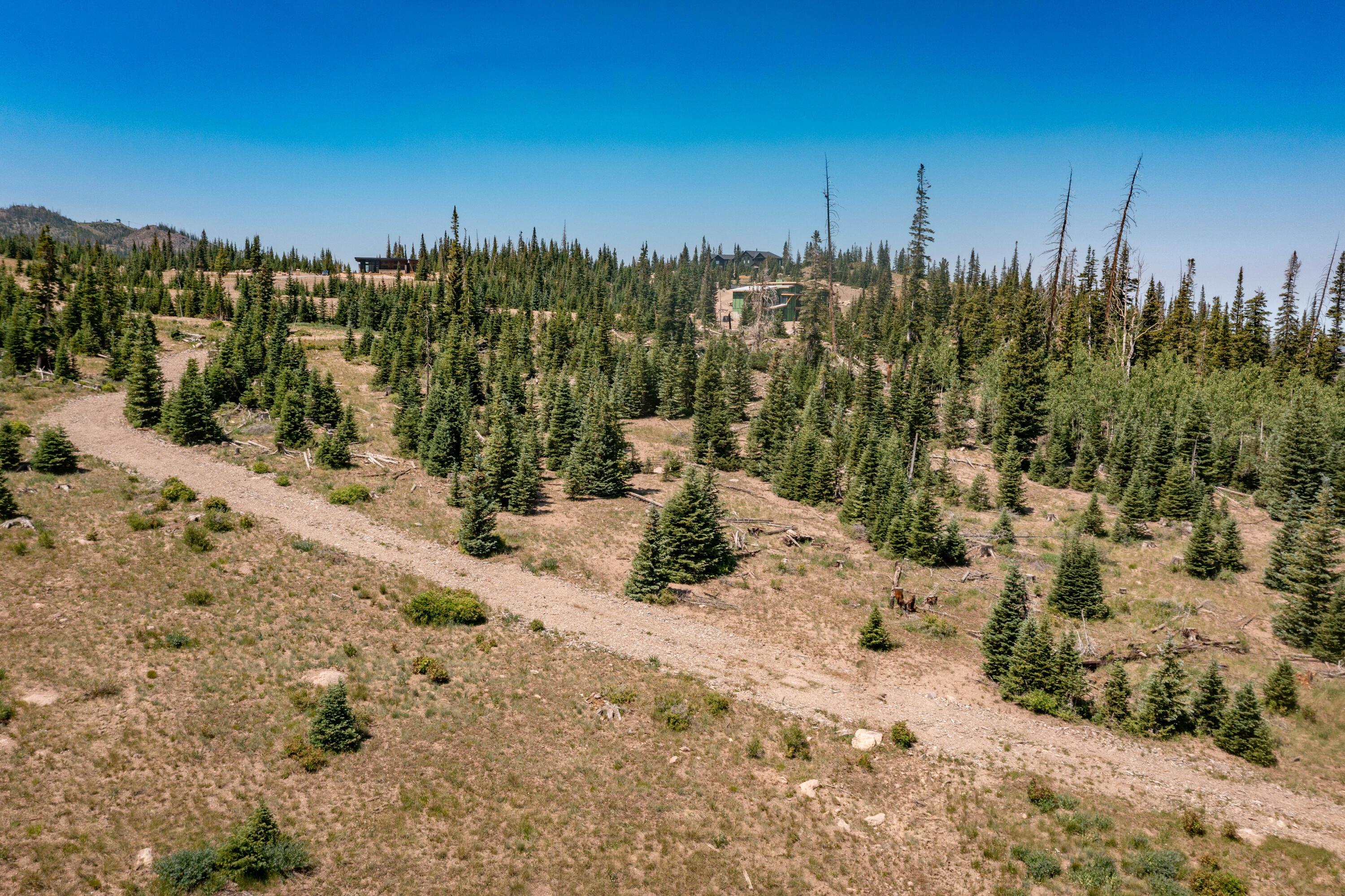 Brian Head, Utah, 84719, United States, ,Residential,For Sale,1983470