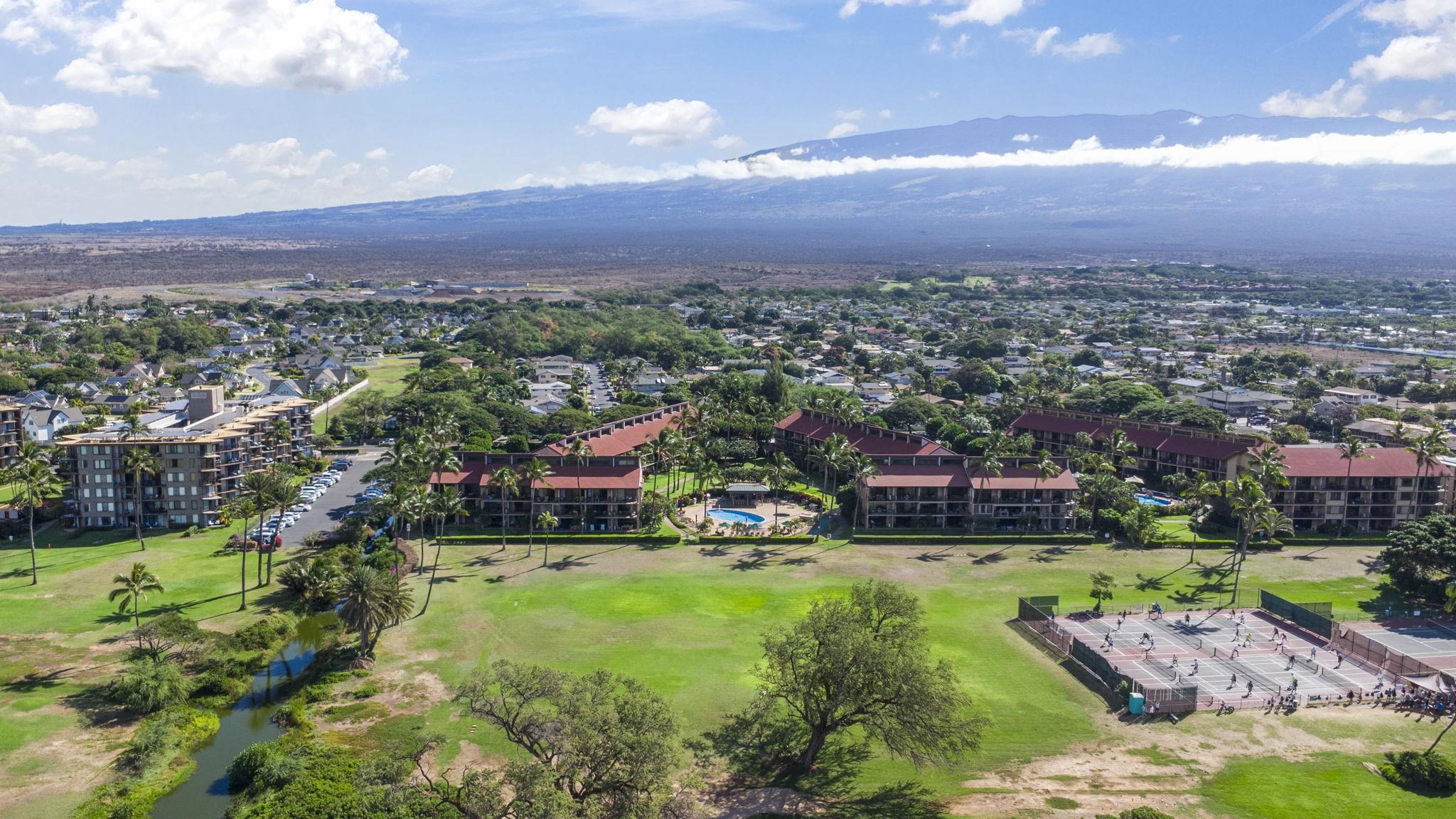 Kihei, Hawaii, 96753, United States, 1 Bedroom Bedrooms, ,1 BathroomBathrooms,Residential,For Sale,1692851