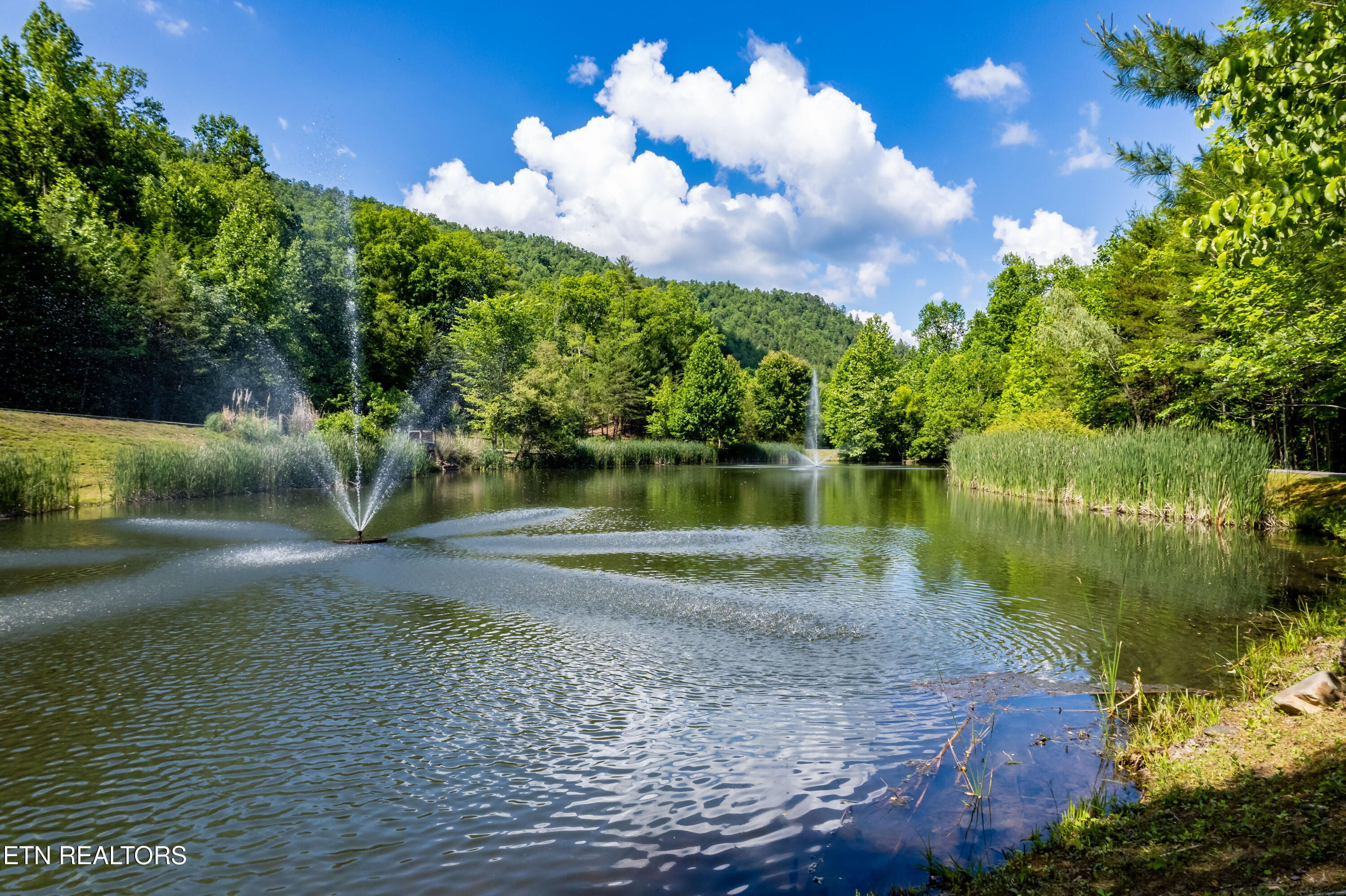 Townsend, Tennessee, 37882, United States, ,Land,For Sale,1982643
