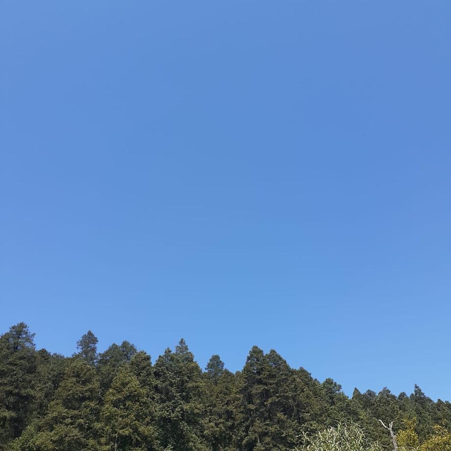 Mineral del Chico, Hidalgo, 42120, Mexico, 1 Bedroom Bedrooms, ,Residential,For Sale,1958011