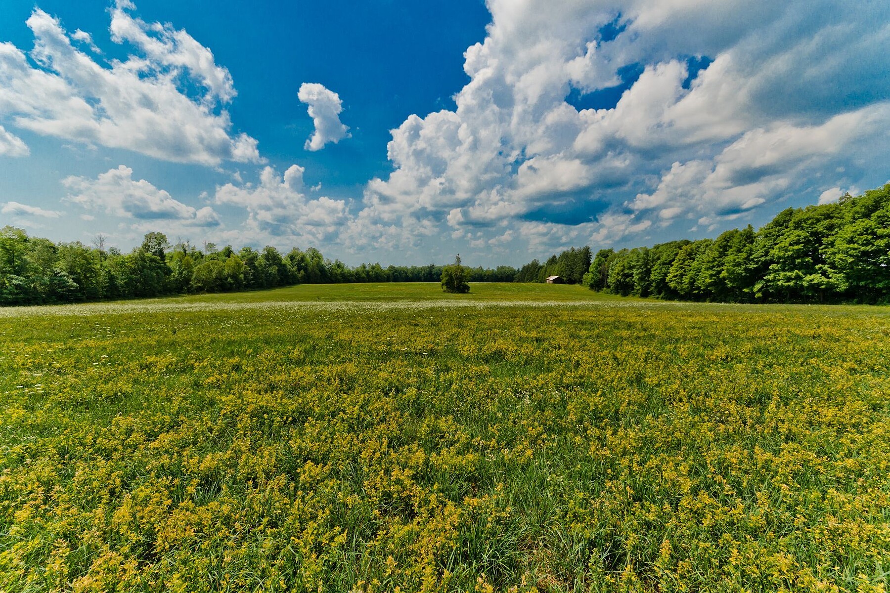  Hillhead Farm Estate - 物件實景