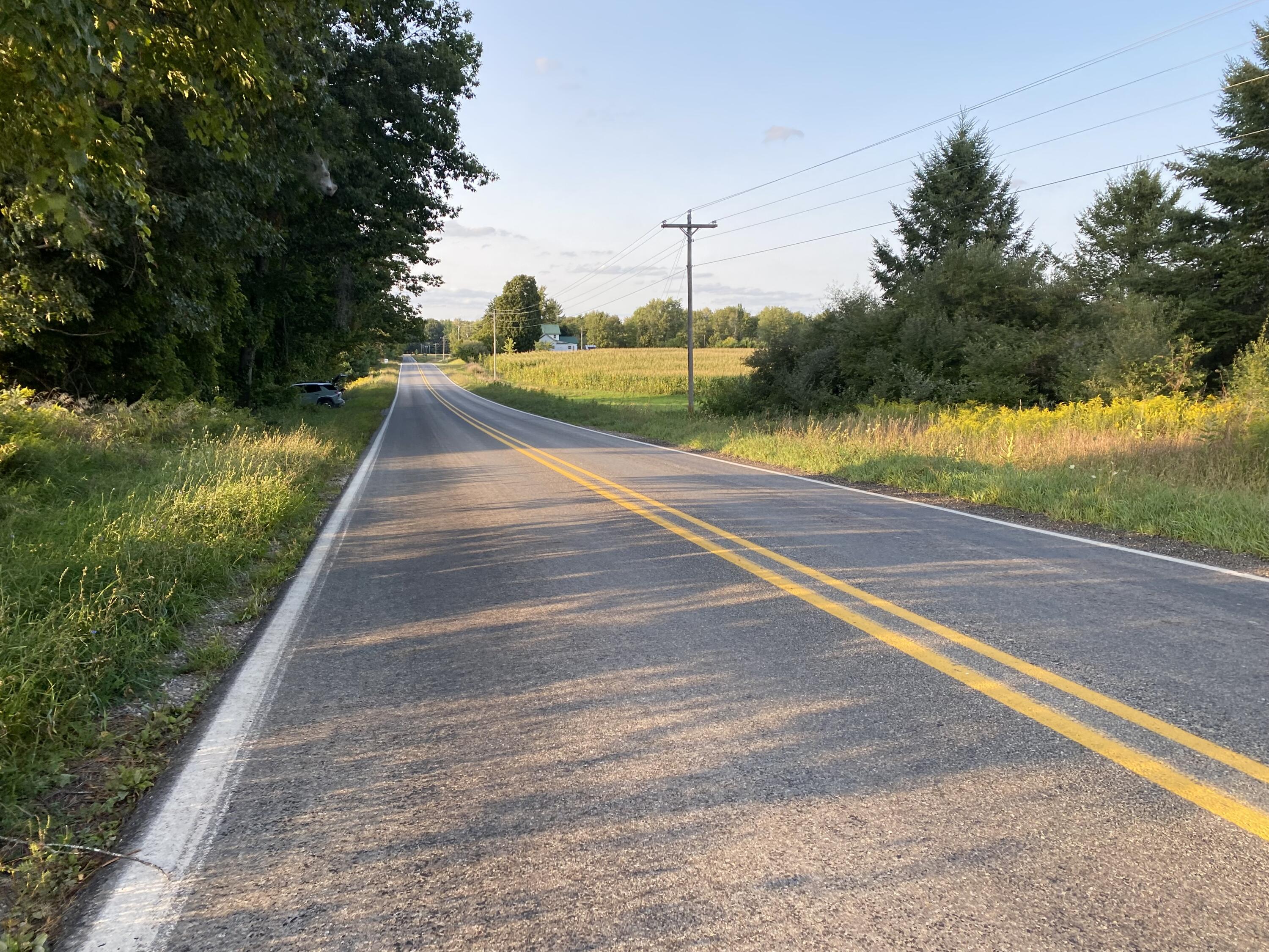 Lakeview, Michigan, 48850, United States, ,Land,For Sale,1942163