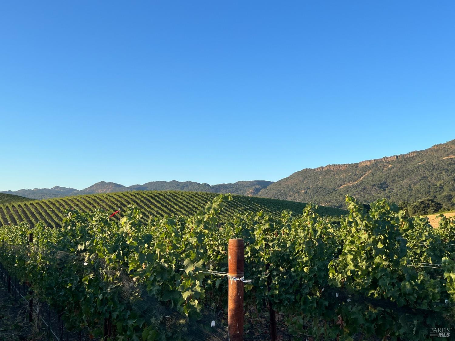 Napa, California, 94558, United States, 3 Bedrooms Bedrooms, ,3 BathroomsBathrooms,Residential,For Sale,1991897