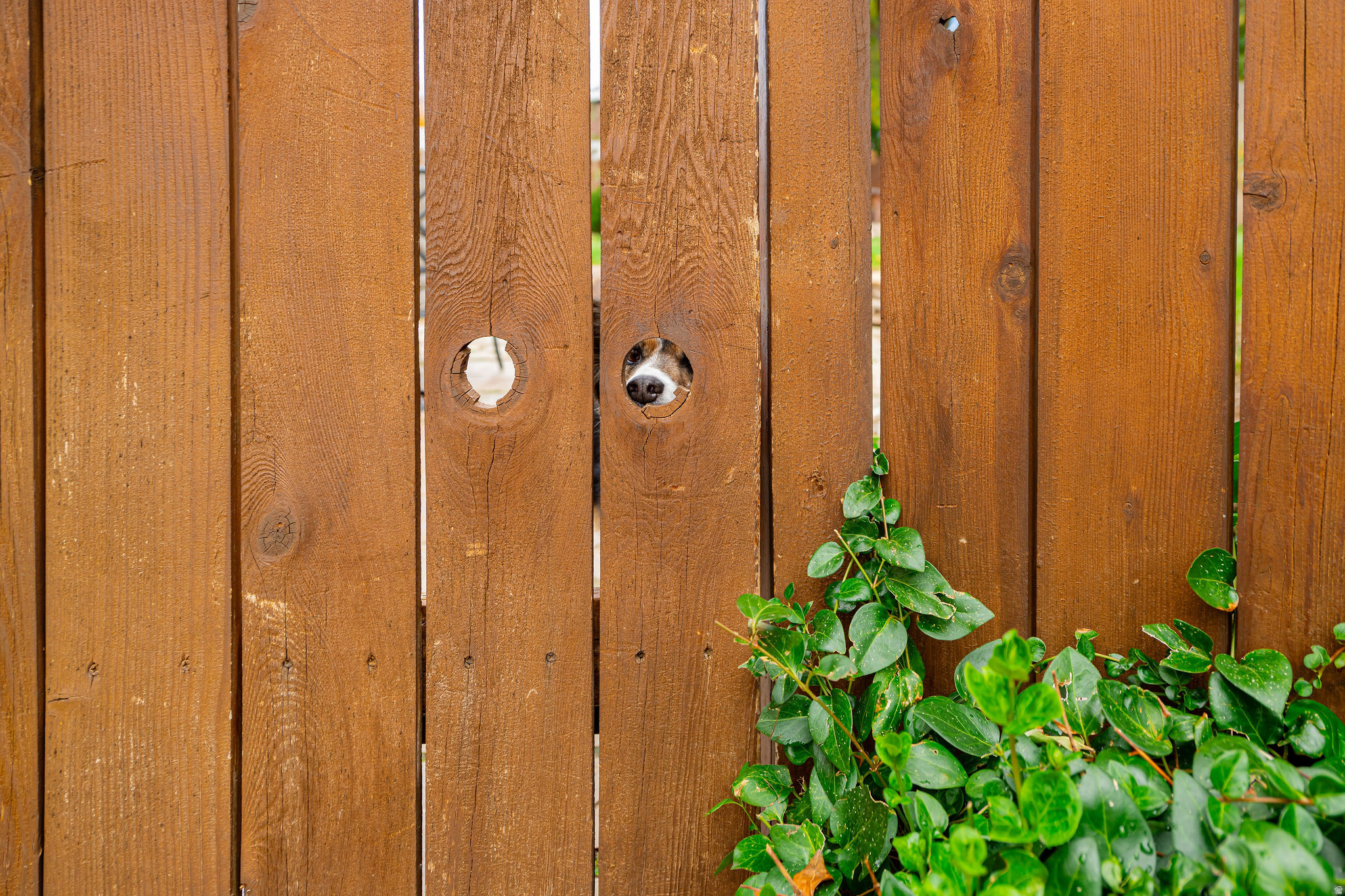 Bountiful, Utah, 84010, United States, 3 Bedrooms Bedrooms, ,2 BathroomsBathrooms,Residential,For Sale,1985173