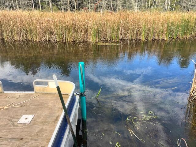 Branch, Michigan, 49402, United States, 5 Bedrooms Bedrooms, ,4 BathroomsBathrooms,Residential,For Sale,1986273