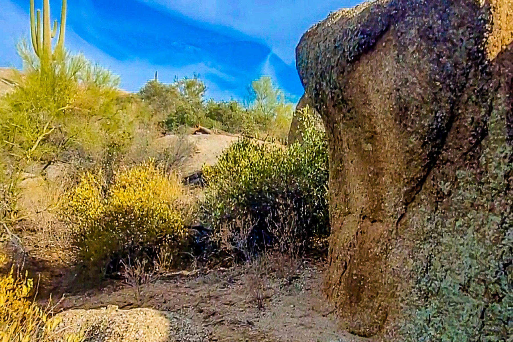  27777 N 95th Street  Scottsdale, AZ - 物件實景