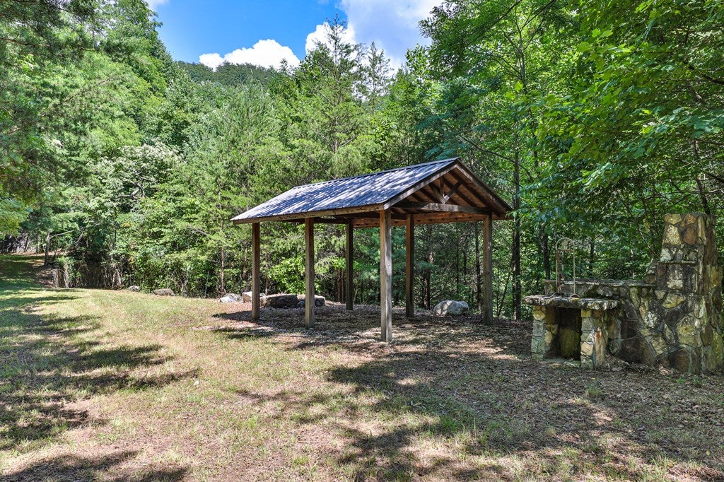 Cherry Log, Georgia, 30522, United States, ,Land,For Sale,1858995